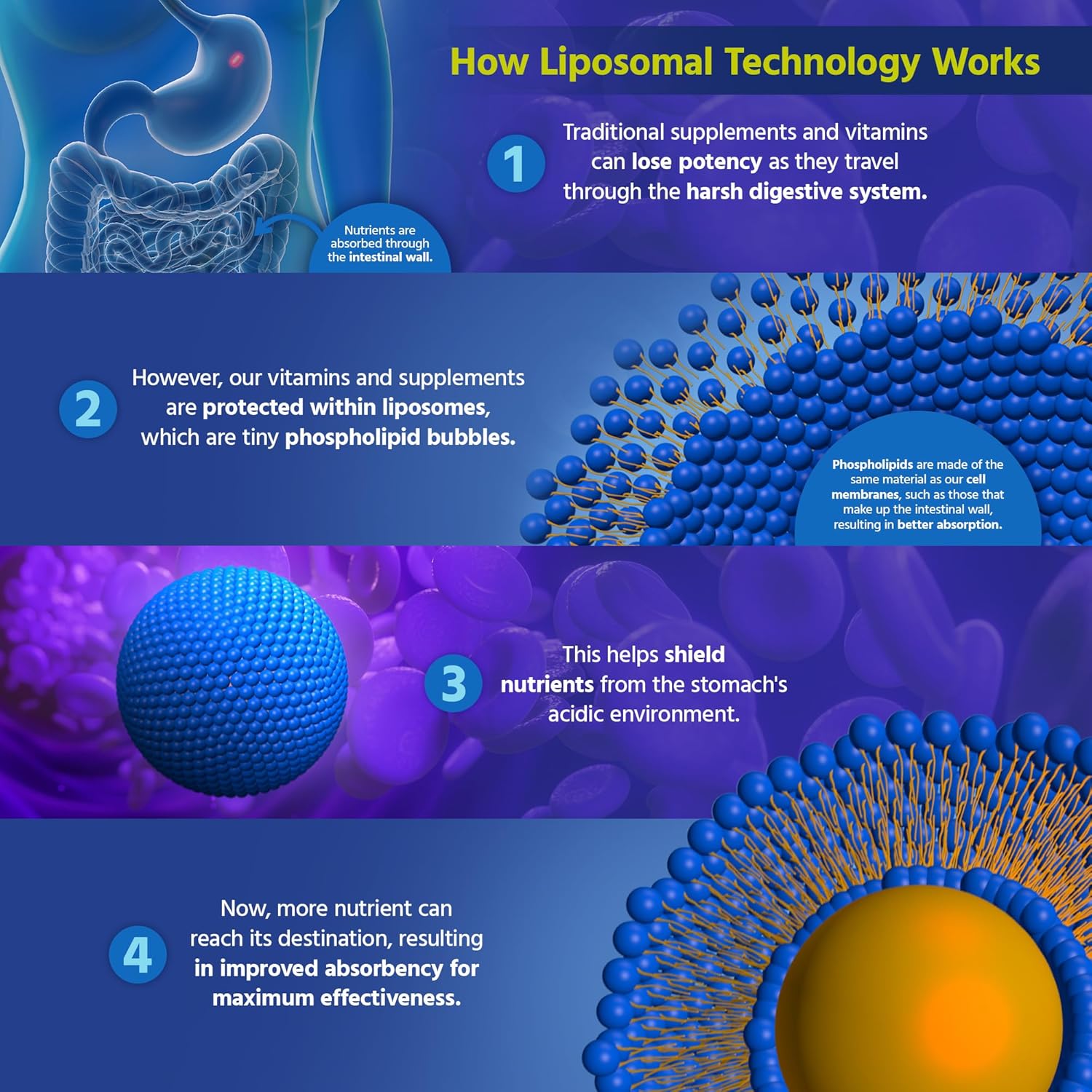 Non-GMO Liposomal Vitamin C 1000mg Softgels for Healthy Skin & Immune Support - Core Med Science - 90 Count