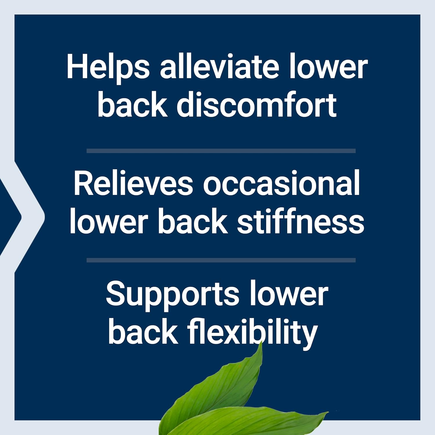 Non-GMO Lower Back Relief Capsules with Chinese Chaste Tree and Ginger Extract - 60 Vegetarian Capsules for Discomfort and Stiffness