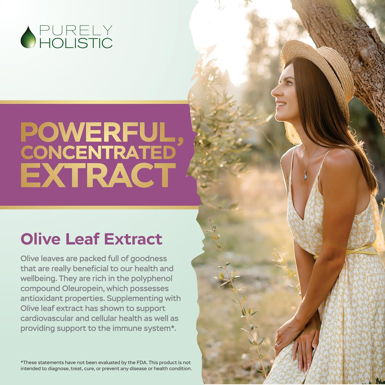 Non-GMO Olive Leaf Extract 750mg Capsules - High Strength 20% Oleuropein - Vegan Friendly - 4 Month Supply