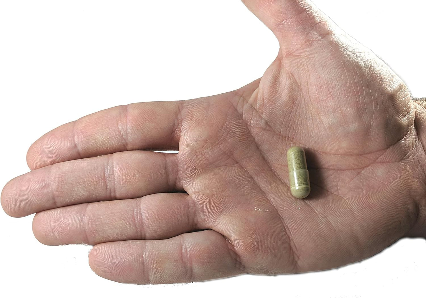 Non-GMO Olive Leaf Extract Capsules - Immune Support Supplement with 20% Oleuropein - 750mg Super Strength - 120 Count - Up to 4 Months Supply - Vegetarian Formula by Vitalité Now!