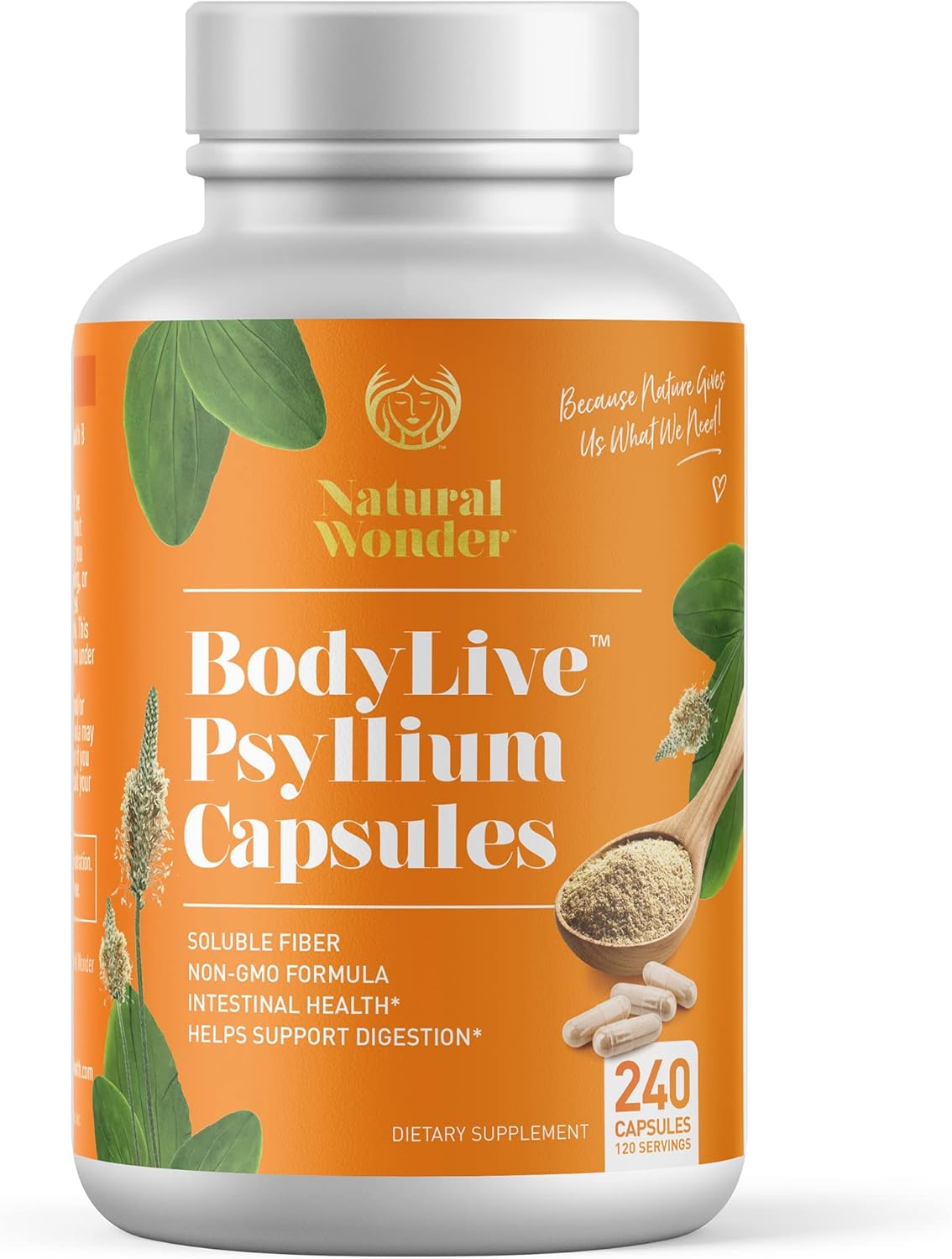 Non-GMO Psyllium Husk Fiber Capsules for Colon Cleanse & Digestive Health - 240 Capsules, 725mg - Prebiotic & Heart Health Supplement
