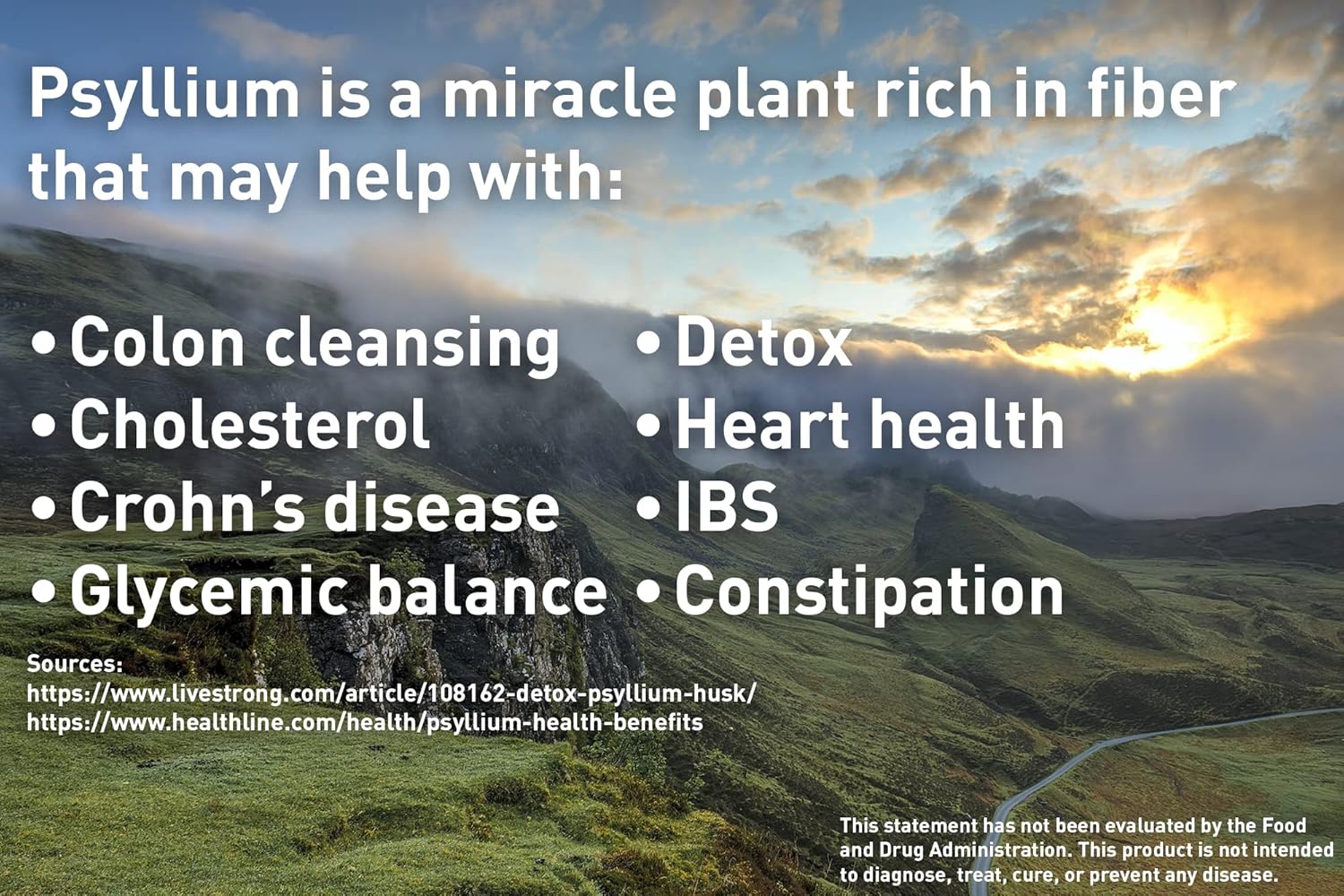 Non-GMO Psyllium Husk Fiber Capsules for Colon Cleanse & Digestive Health - 240 Capsules, 725mg - Prebiotic & Heart Health Supplement