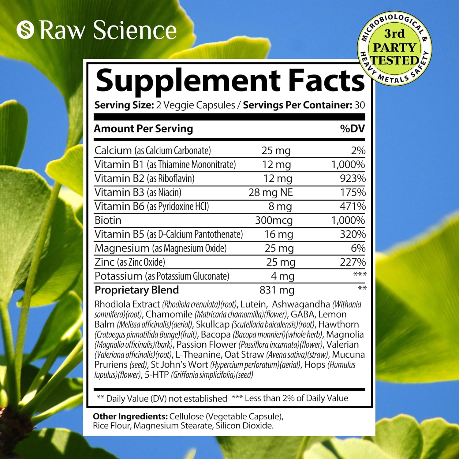 Nootropic Brain Supplements for Memory, Focus, and Mood Support - Ashwagandha, L-Theanine, Rhodiola Extract, GABA, 5HTP - 60 Capsules