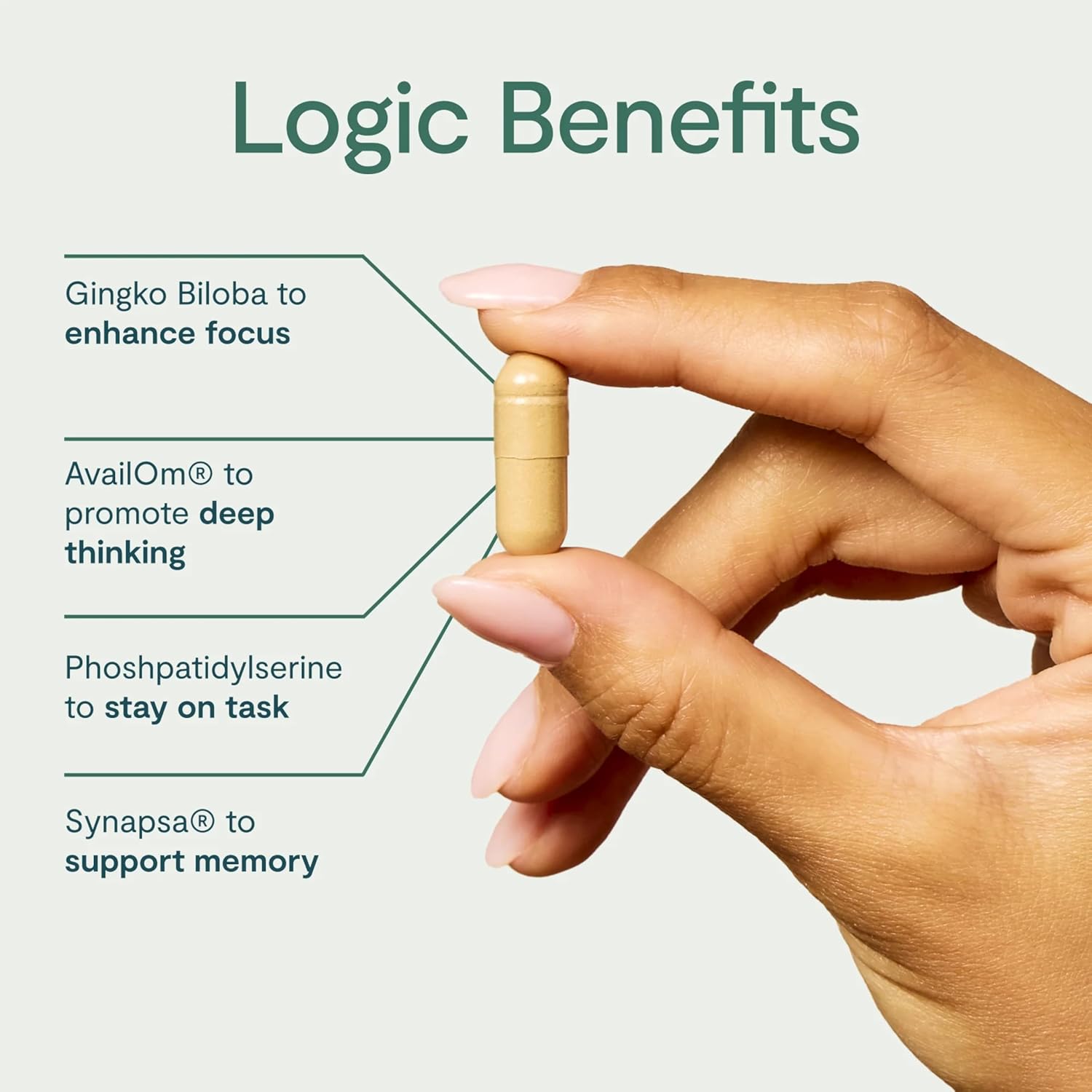 Nootropic Brain Support Supplement for Deep Thinking, Memory, and Focus - Gingko Biloba, Bacopa Monnieri, L-Theanine - 1 Month Supply