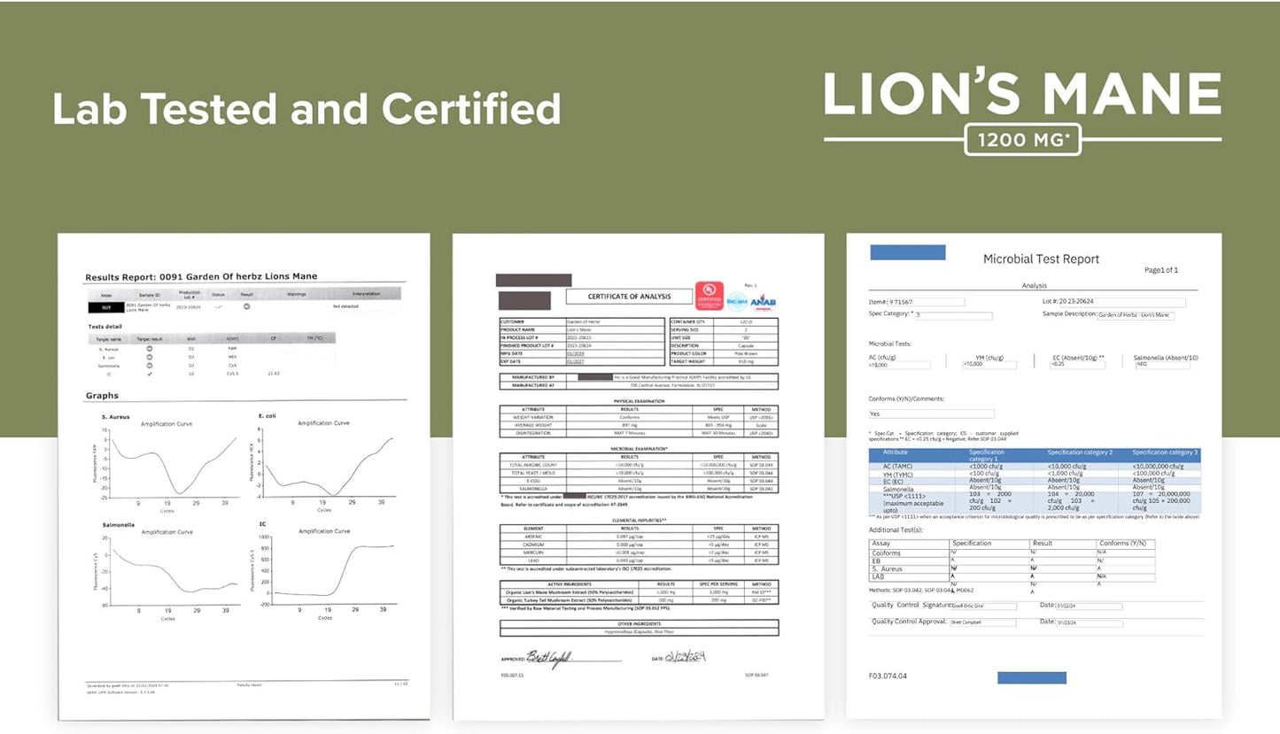 Nootropic Lions Mane Mushroom & Turkey Tail Capsules for Brain Fog & Immune Support - 1200 Mg Supplement, 120 Capsules
