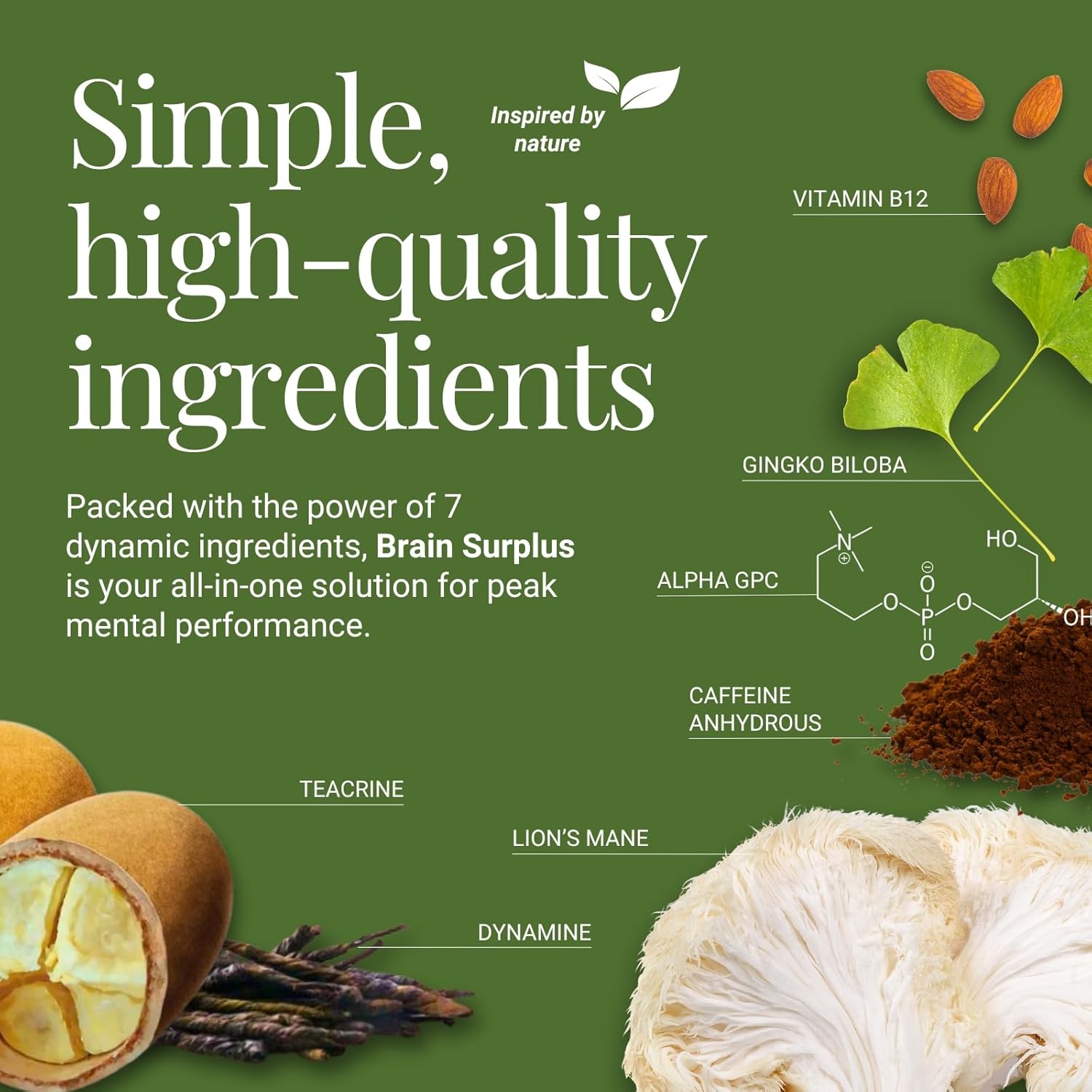 Nootropic Supplement for Memory, Focus, Energy with Lions Mane, Ginkgo Biloba, Alpha GPC, Vitamin B12 - Non GMO, Vegan, Gluten Free