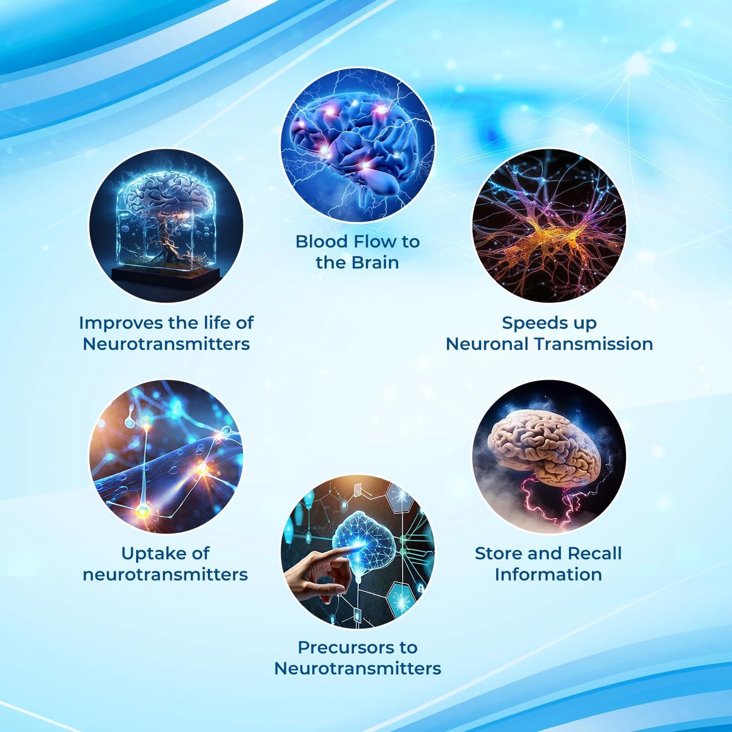 Nootropic Supplement for Men & Women - Enhances Concentration, Memory, and Brain Function with Vitamins, Choline, Ginseng, Gingko & More - 40 Count