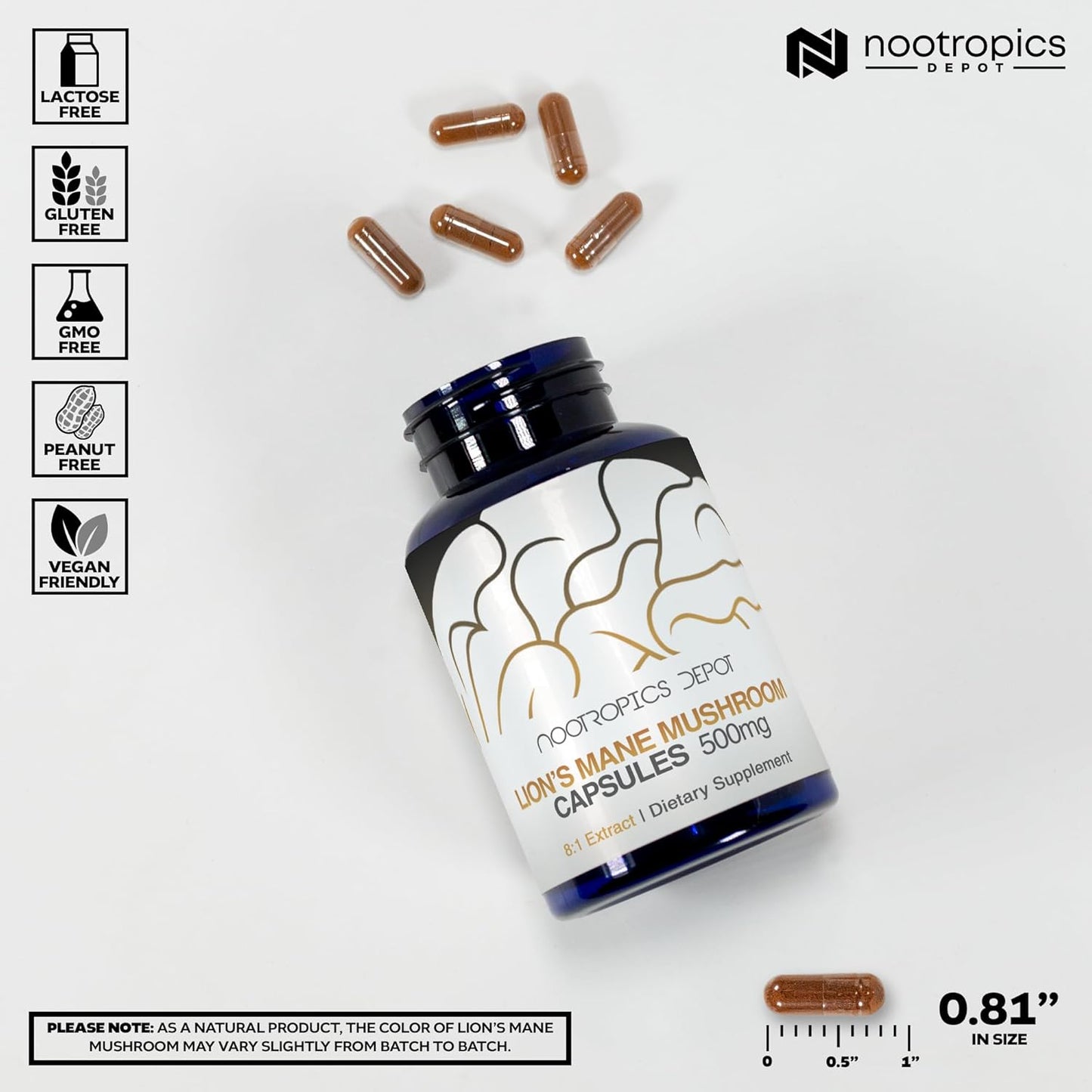Nootropics Depot Lions Mane Mushroom Capsules 180 Count 500mg | 8:1 Dual Extract | Whole Fruiting Body Supplement