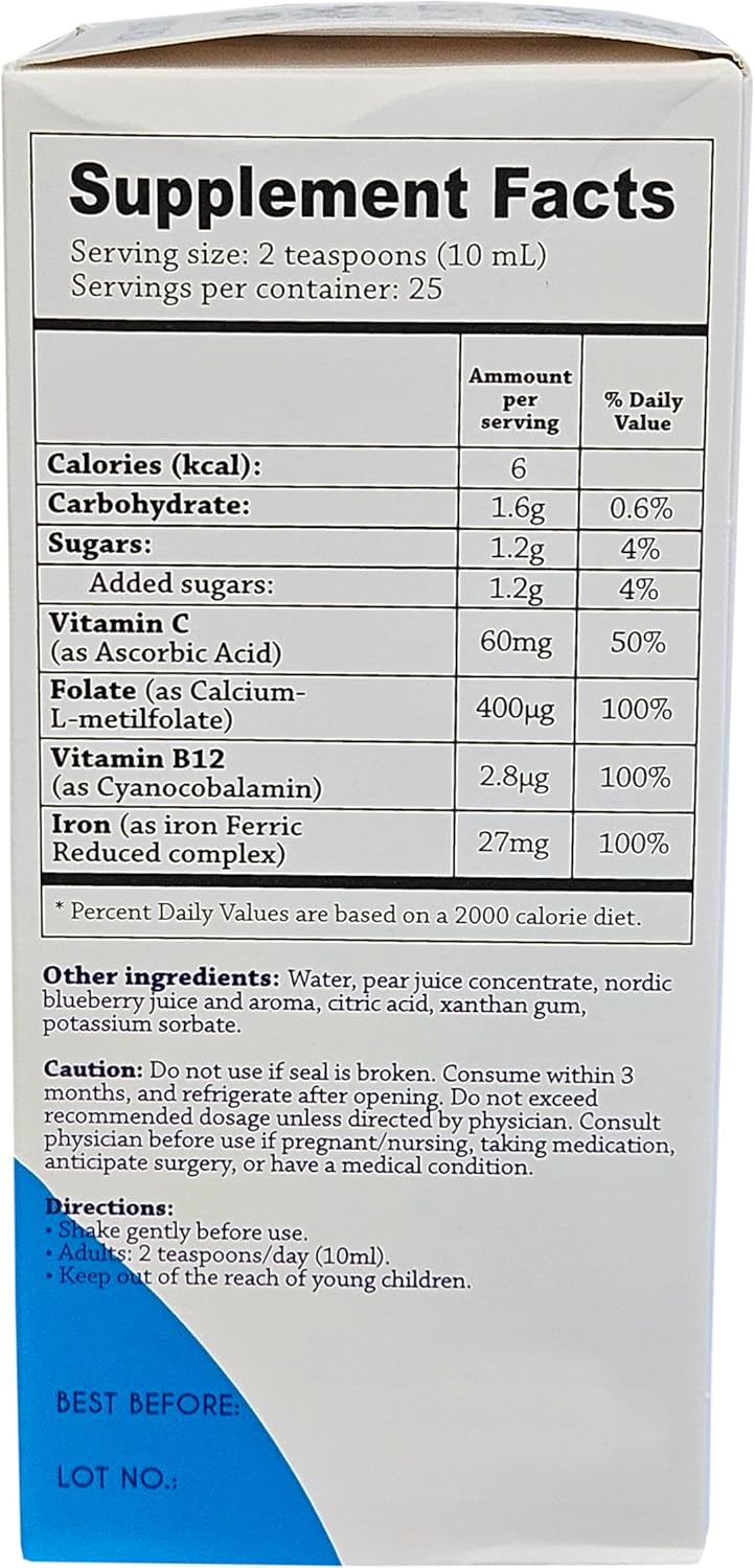 Nordic Blueberry Iron Supplement with Antioxidants for Pregnancy - 8.5 fl oz