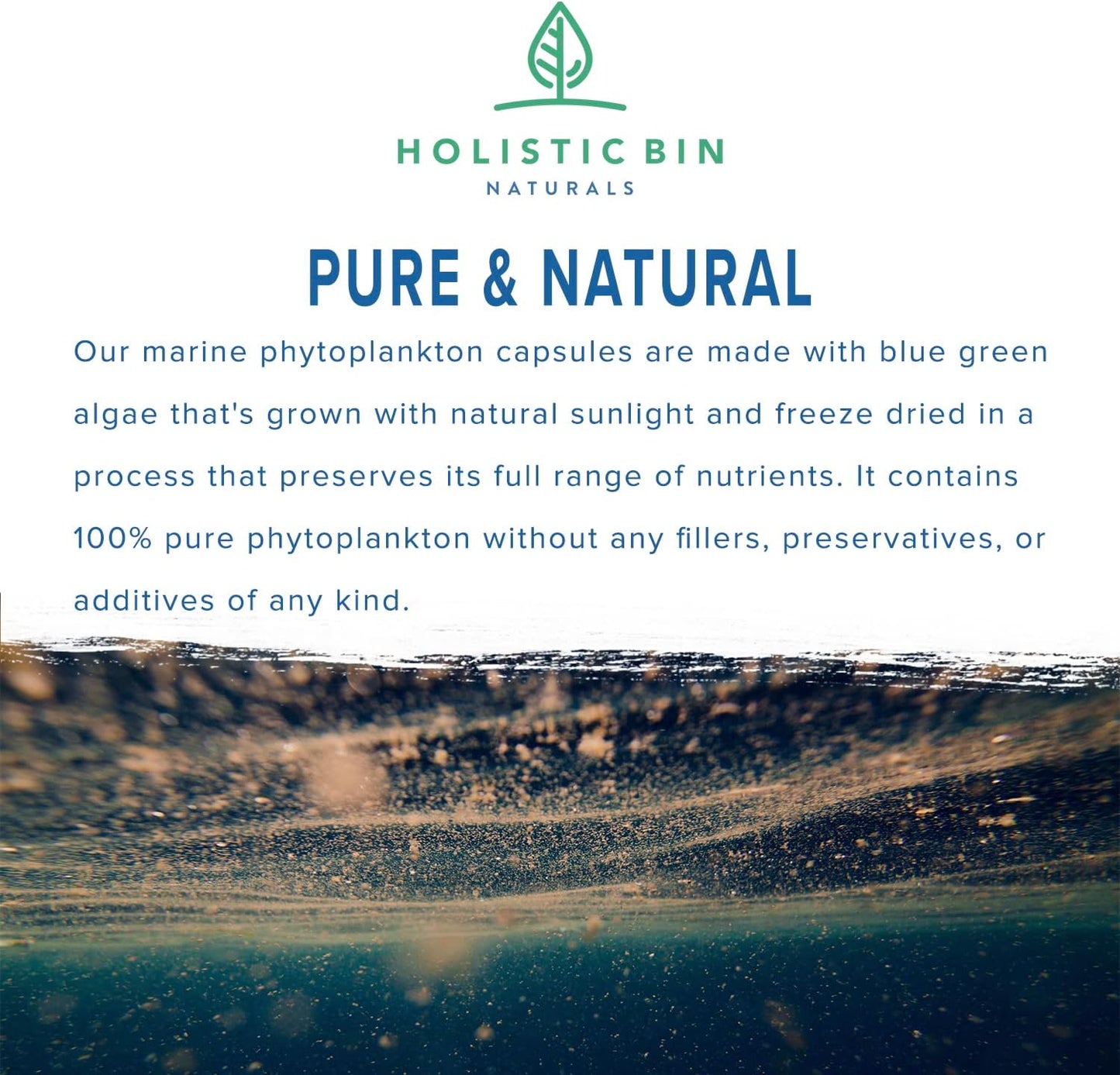 Nordic Seawater Grown Marine Phytoplankton Capsules by Holistic Bin | Vegan Omega 3 Supplement with Amino Acids, Chlorophyll, Vitamins & Minerals