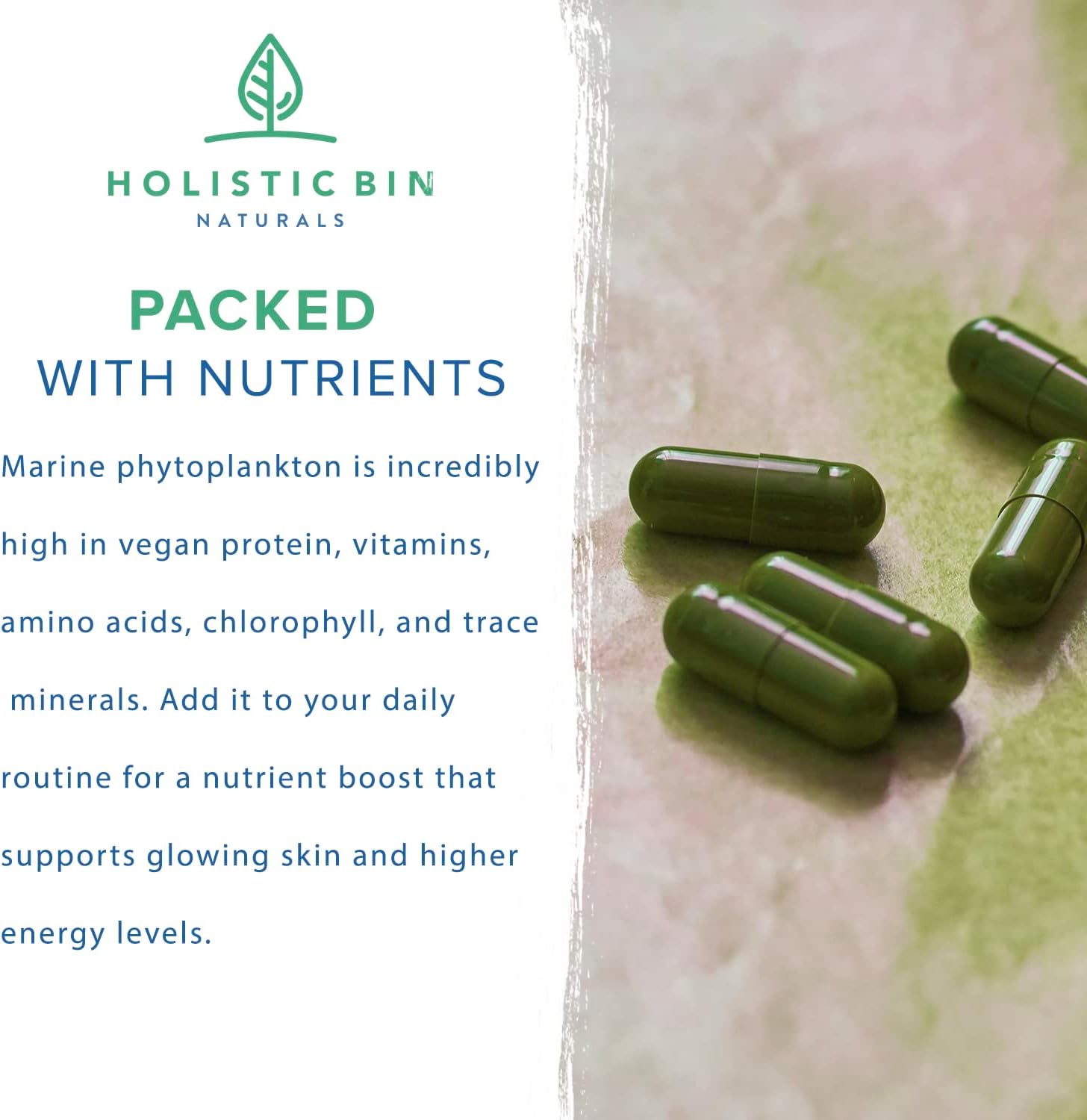 Nordic Seawater Grown Marine Phytoplankton Capsules by Holistic Bin | Vegan Omega 3 Supplement with Amino Acids, Chlorophyll, Vitamins & Minerals