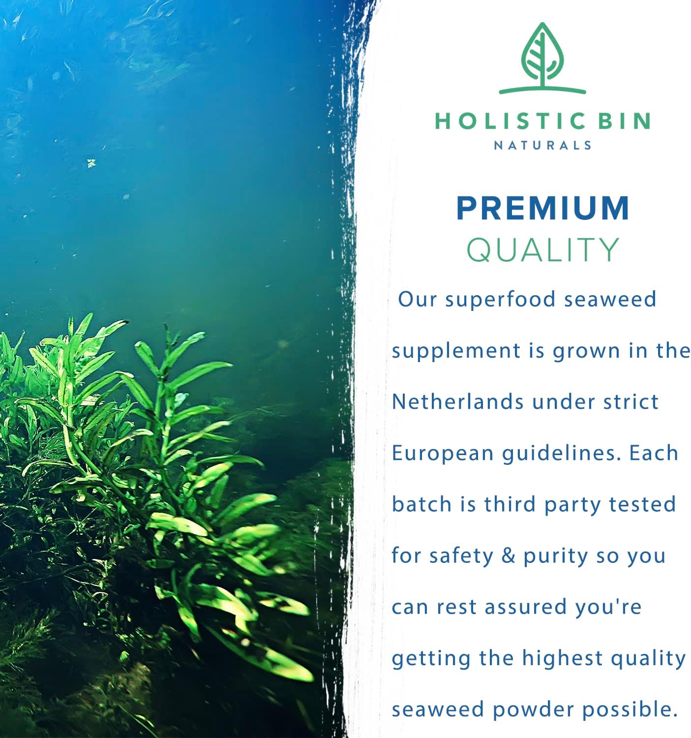 Nordic Seawater Grown Marine Phytoplankton Capsules by Holistic Bin | Vegan Omega 3 Supplement with Amino Acids, Chlorophyll, Vitamins & Minerals