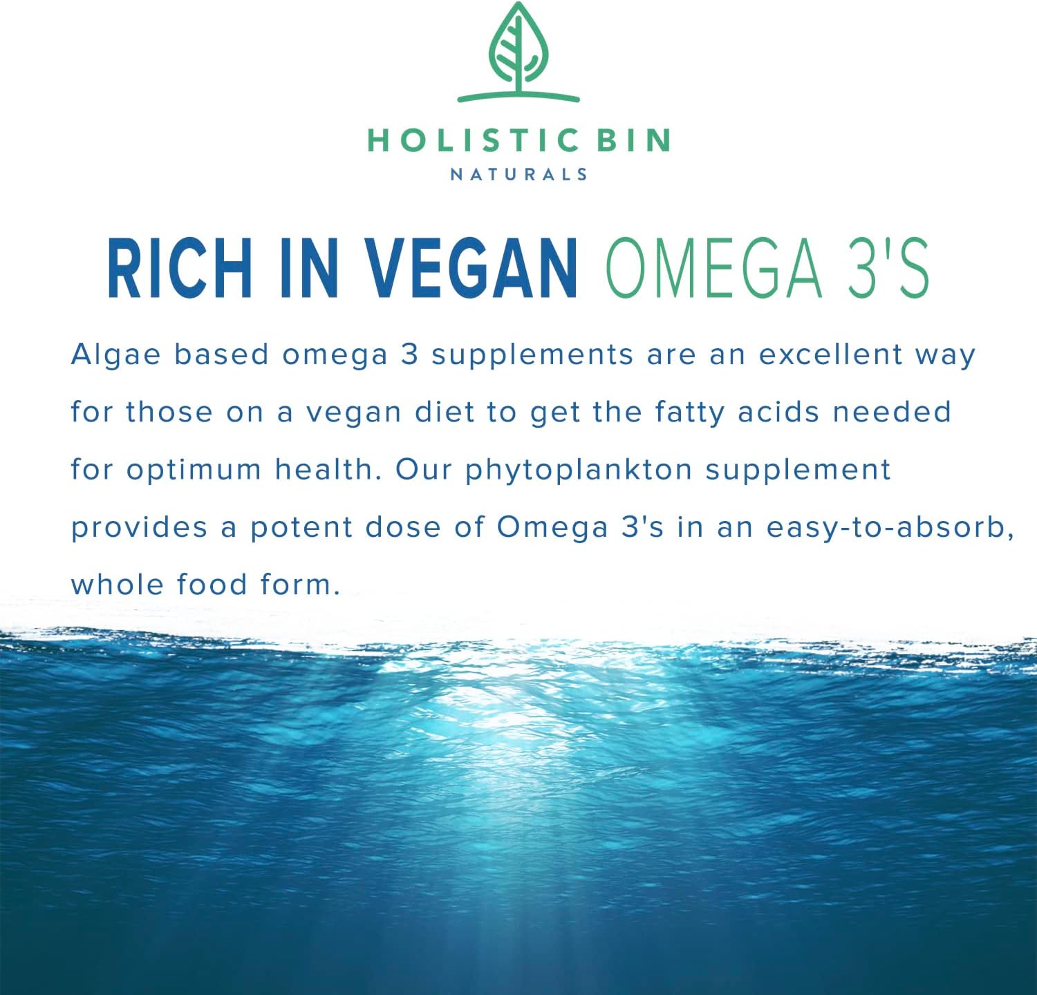 Nordic Seawater Grown Marine Phytoplankton Capsules by Holistic Bin | Vegan Omega 3 Supplement with Amino Acids, Chlorophyll, Vitamins & Minerals