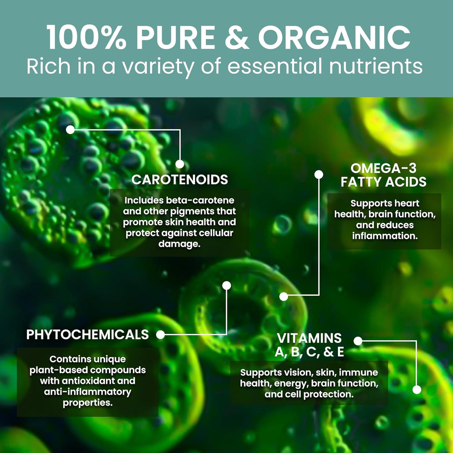 Nordic Seawater Grown Marine Phytoplankton Powder | Vegan Omega 3 Supplement with Amino Acids, Chlorophyll, Vitamins, & Minerals (50g)
