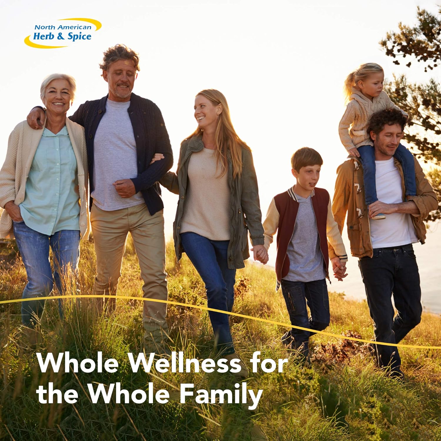 North American Herb & Spice AshwaMilk - 3.5 oz. - Energy & Stamina Support with Ashwagandha & Yacon - Non-GMO - 36 Servings