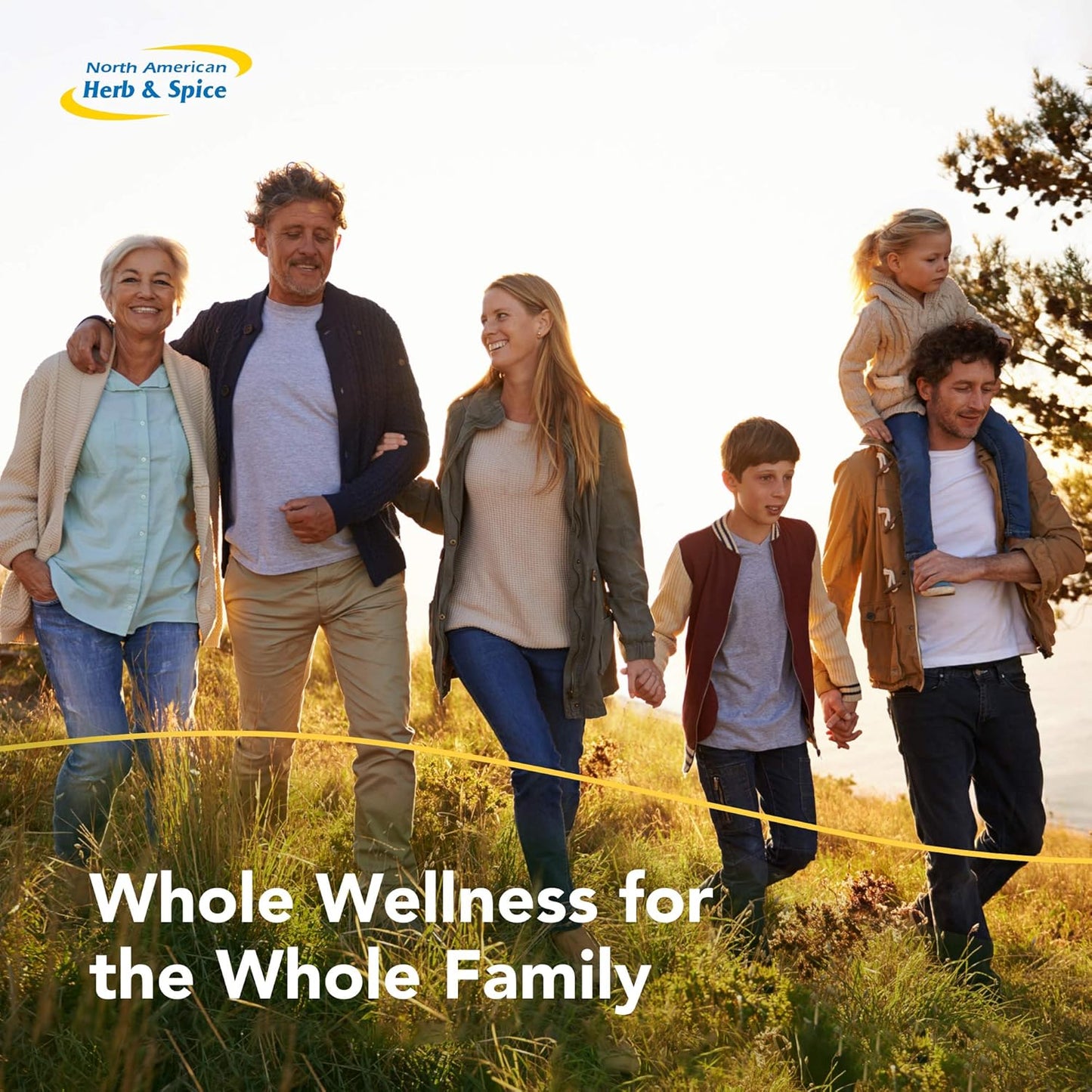 North American Herb & Spice Purely-Zinc Plus Whole Food Supplement - Healthy Immune Support with Austrian Pumpkin Seed, Rice Bran & Camu Camu - Non-GMO - 18 Servings