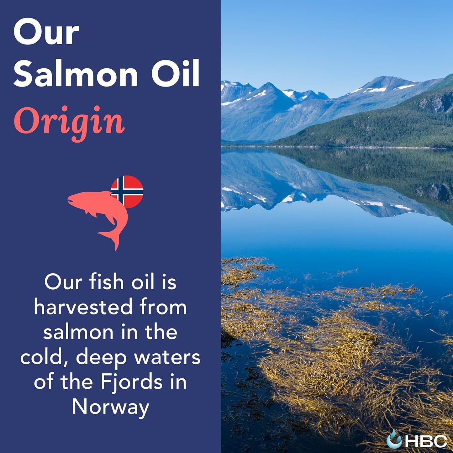 Norwegian Salmon Oil Capsules - High Strength Omega 3 Fish Oil Supplement with EPA, DHA & Astaxanthin for Eye, Brain & Heart - 90 Caps