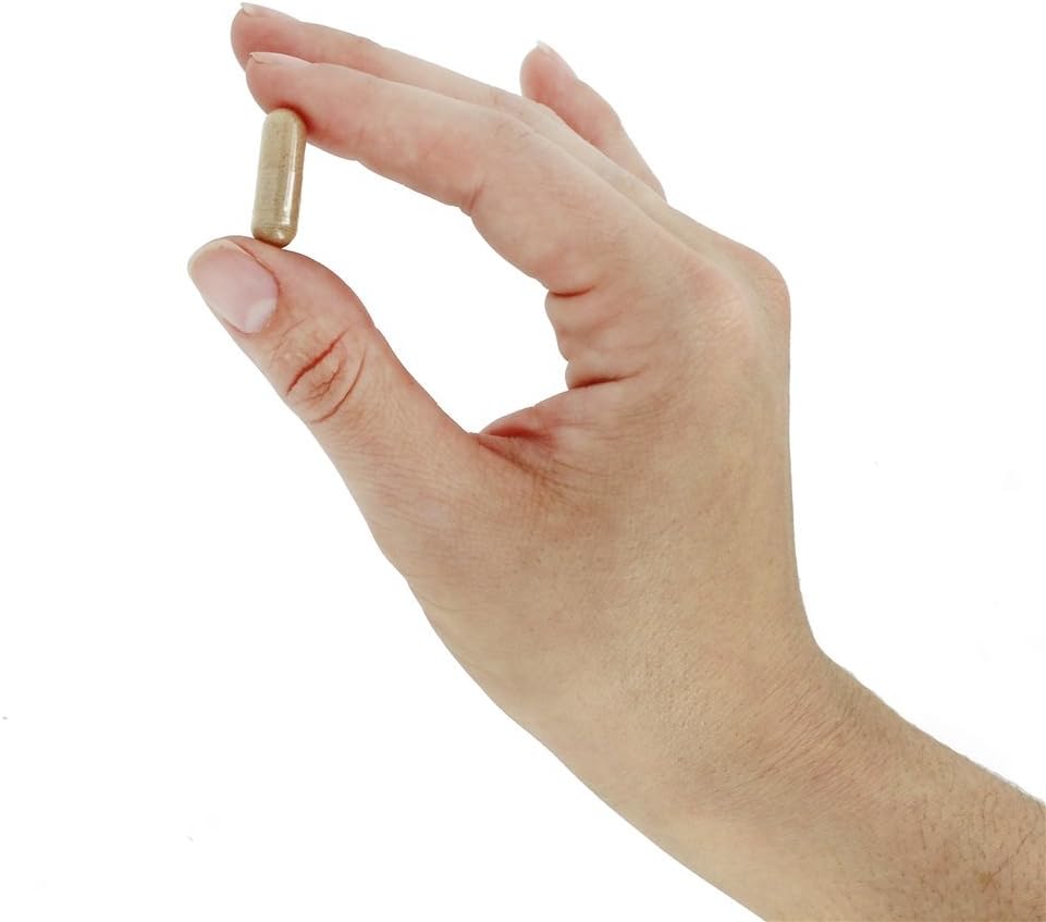 NOW Foods Hawthorn Berry 540mg - 400 Veg Capsules, Pack of 4