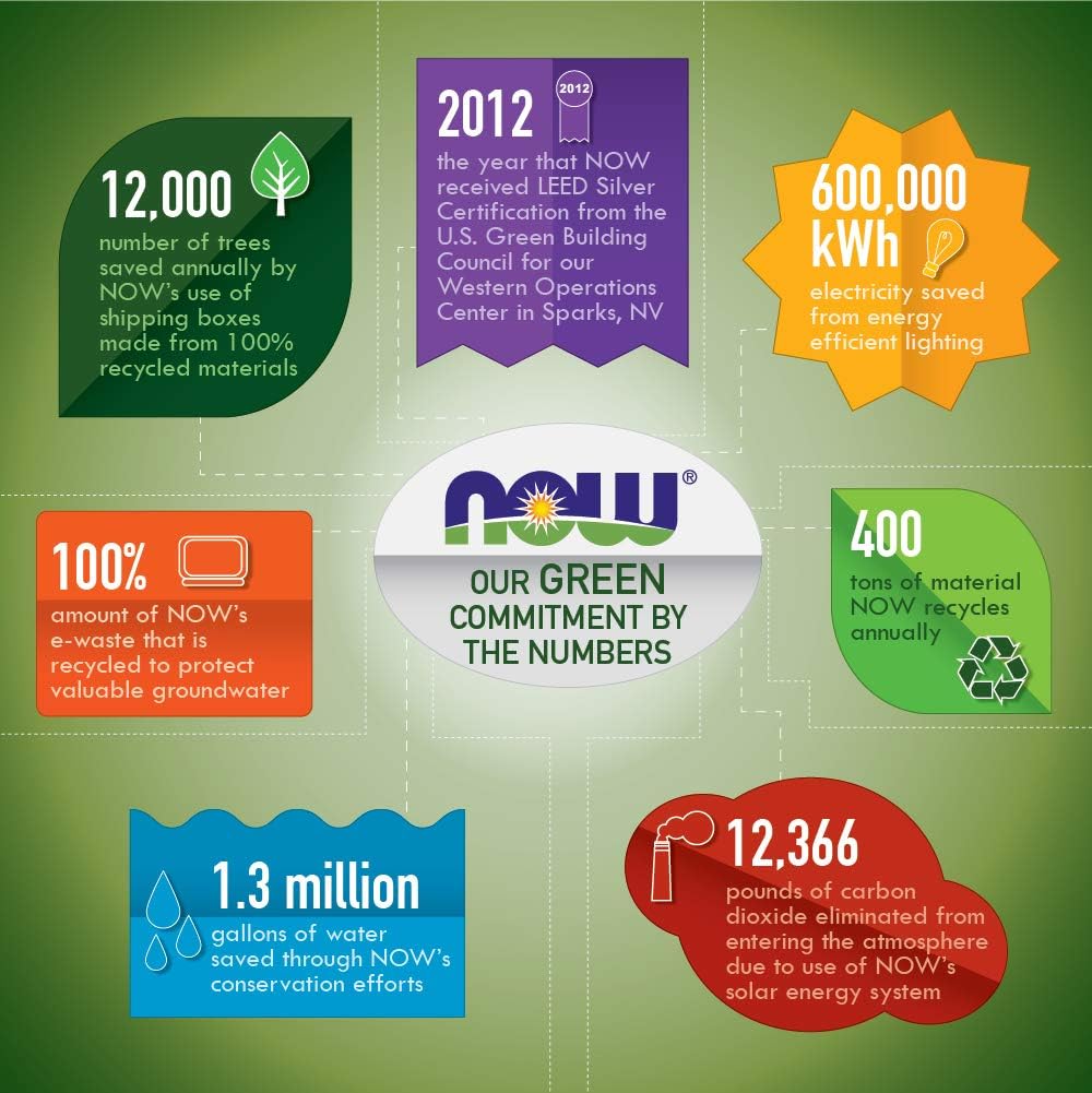NOW Foods L-Carnitine 500 mg - 240 Veg Capsules x 2 Pack - Energy & Metabolism Support