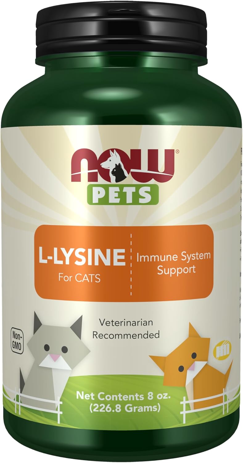 NOW Foods L-Lysine Powder Supplement for Cats, 8-Ounce - NASC Certified Pet Health Formula
