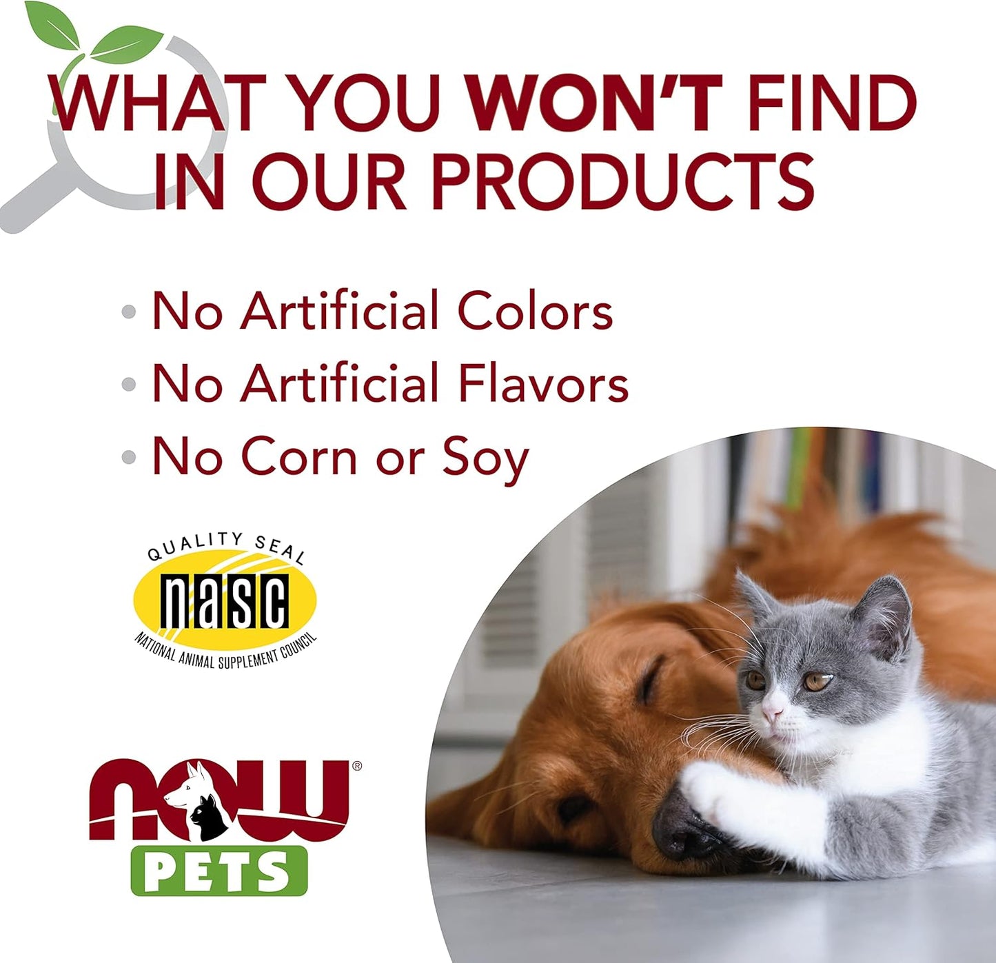 NOW Foods L-Lysine Powder Supplement for Cats, 8-Ounce - NASC Certified Pet Health Formula