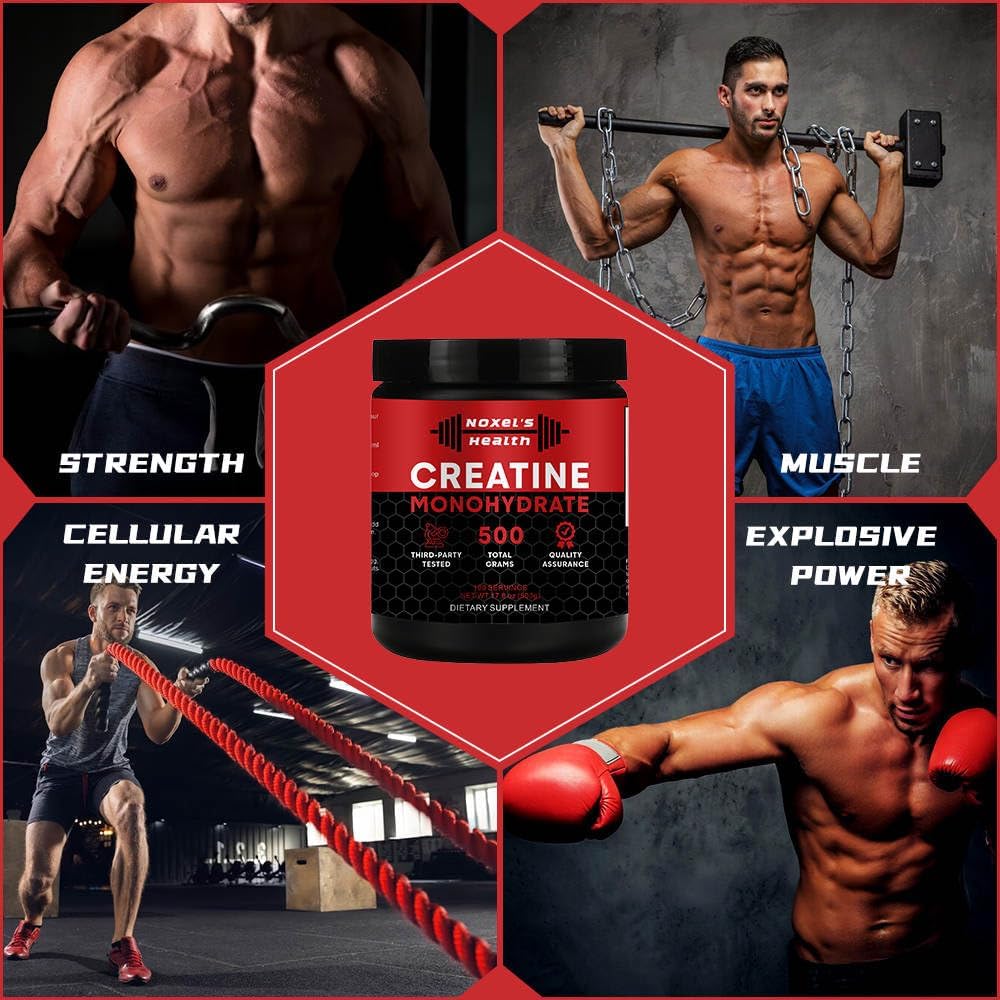 Noxel Micronized Creatine Monohydrate Powder - 100 Servings, 5g per Serving, Muscle Building Pre Workout Supplement, 500g (1.1 lbs) Pack