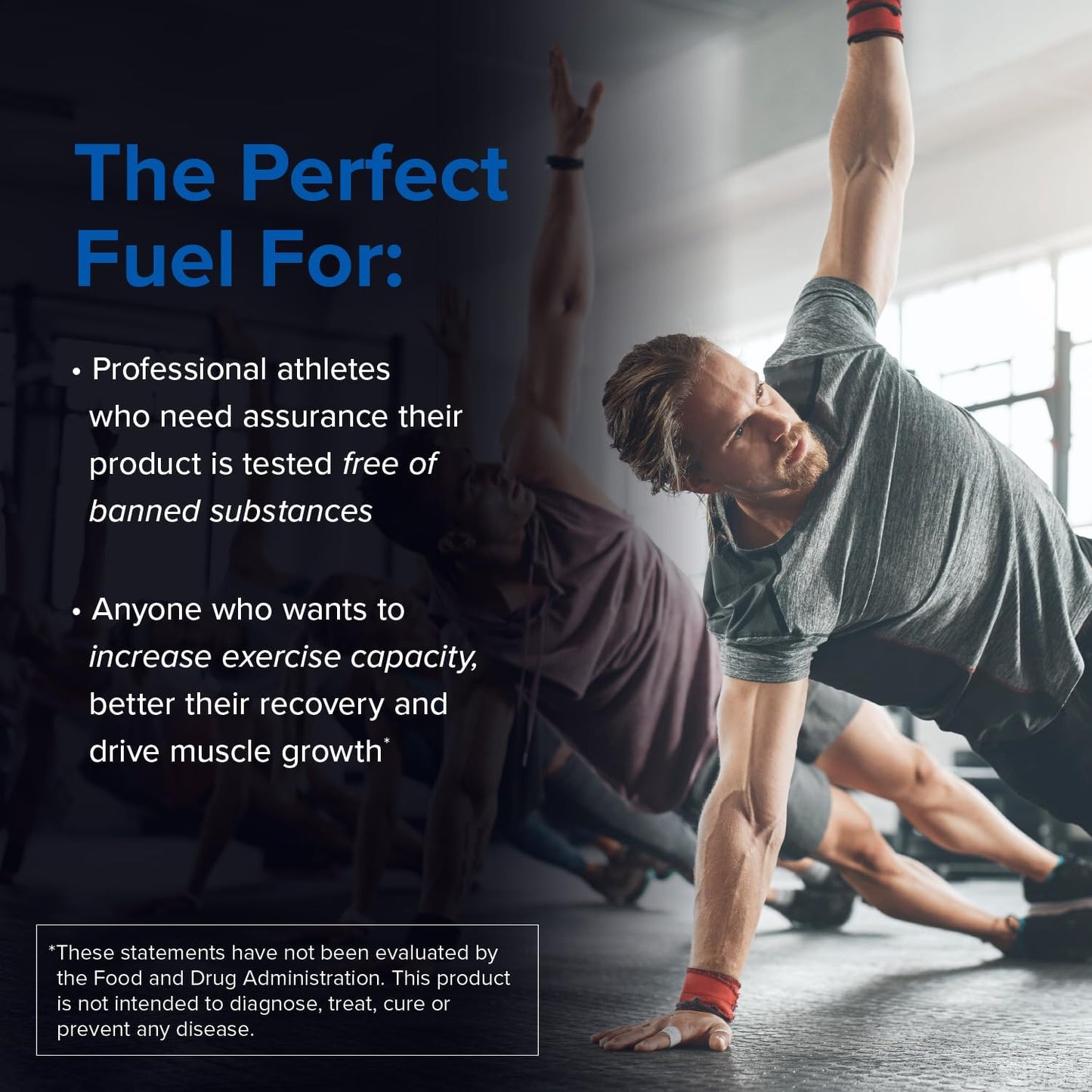 NSF Certified Sport Creatine Monohydrate Powder for Muscle Recovery and Strength - 1 lb / 90 Servings