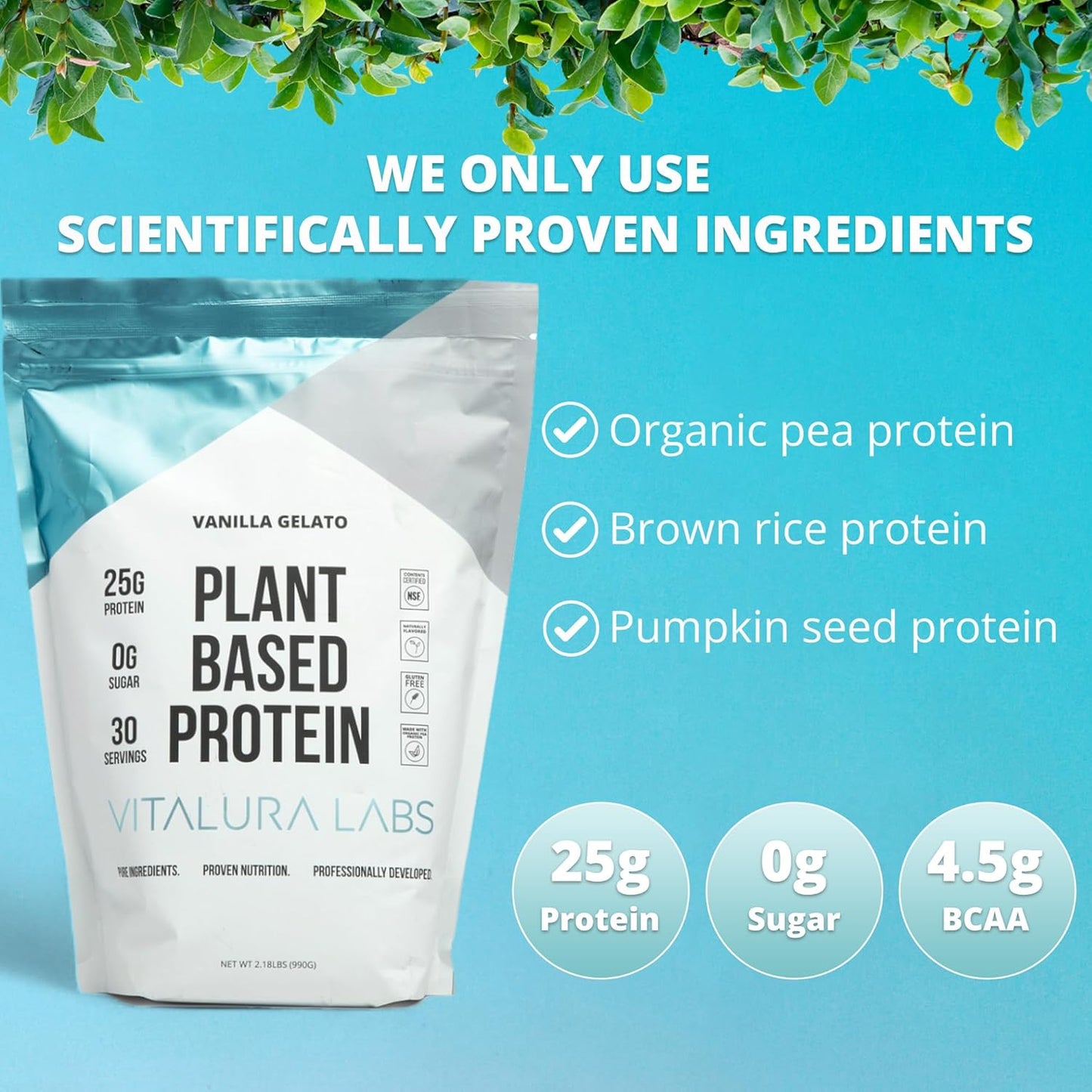 NSF Certified Vanilla Gelato Plant-Based Protein Powder - 25g Protein per Serving - Pea, Rice & Pumpkin Blend - 30 Servings