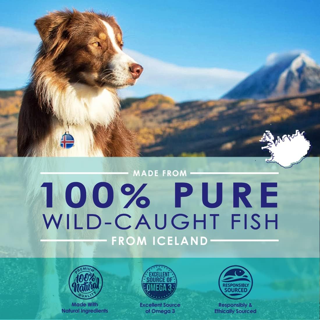 NuLife Natural Liquid Fish Oil for Dogs - Omega 3, 6 & 9 Fatty Acids from Iceland - Skin & Coat Supplement - 12oz