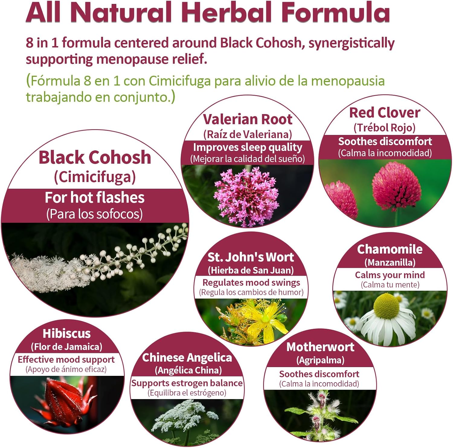 Nurbetoxa Black Cohosh Menopause Support Drops for Women, Natural Hormone Estrogens, 60-Day Strength | Hair, Skin & Nails Health, 4Fl Oz