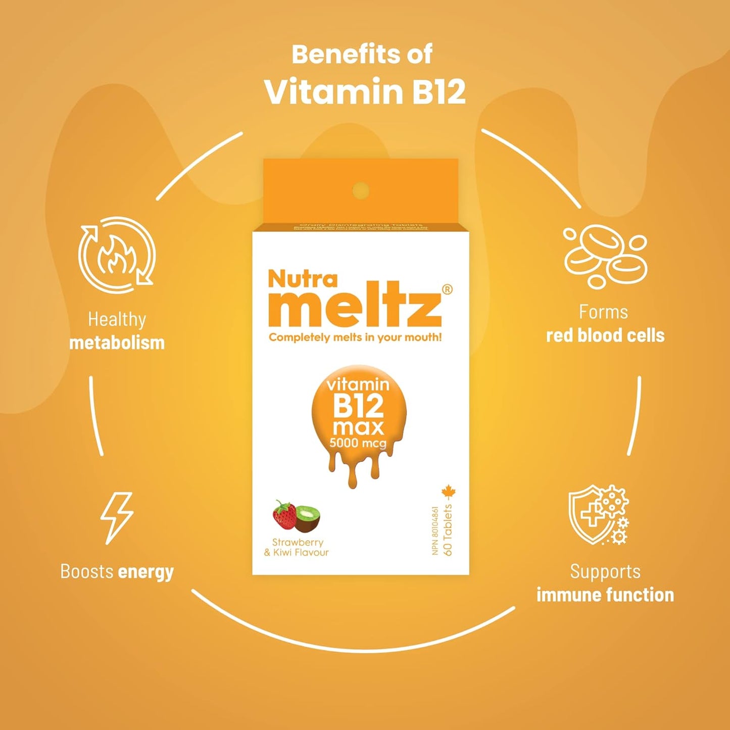 Nutra Meltz Vitamin B12 5000 mcg Tablets - Methylcobalamin for Energy & Cognition - Quick Dissolving Strawberry & Kiwi Flavor - 60 Tablets