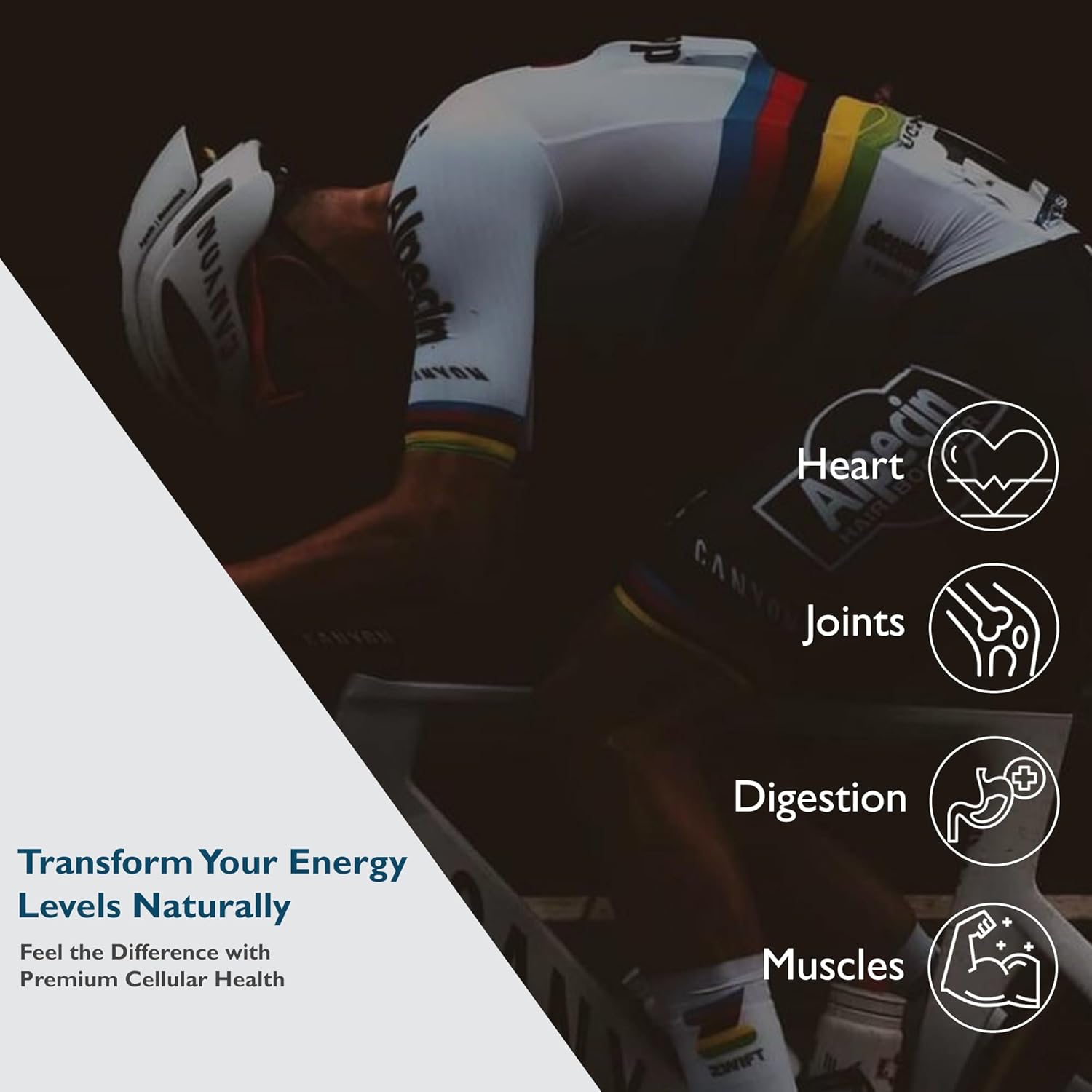 Nutragenis Urolithin A Softgel Supplement - 60 Count - Promotes Cellular Renewal & Muscle Strength - USA-Made Mitoceutical