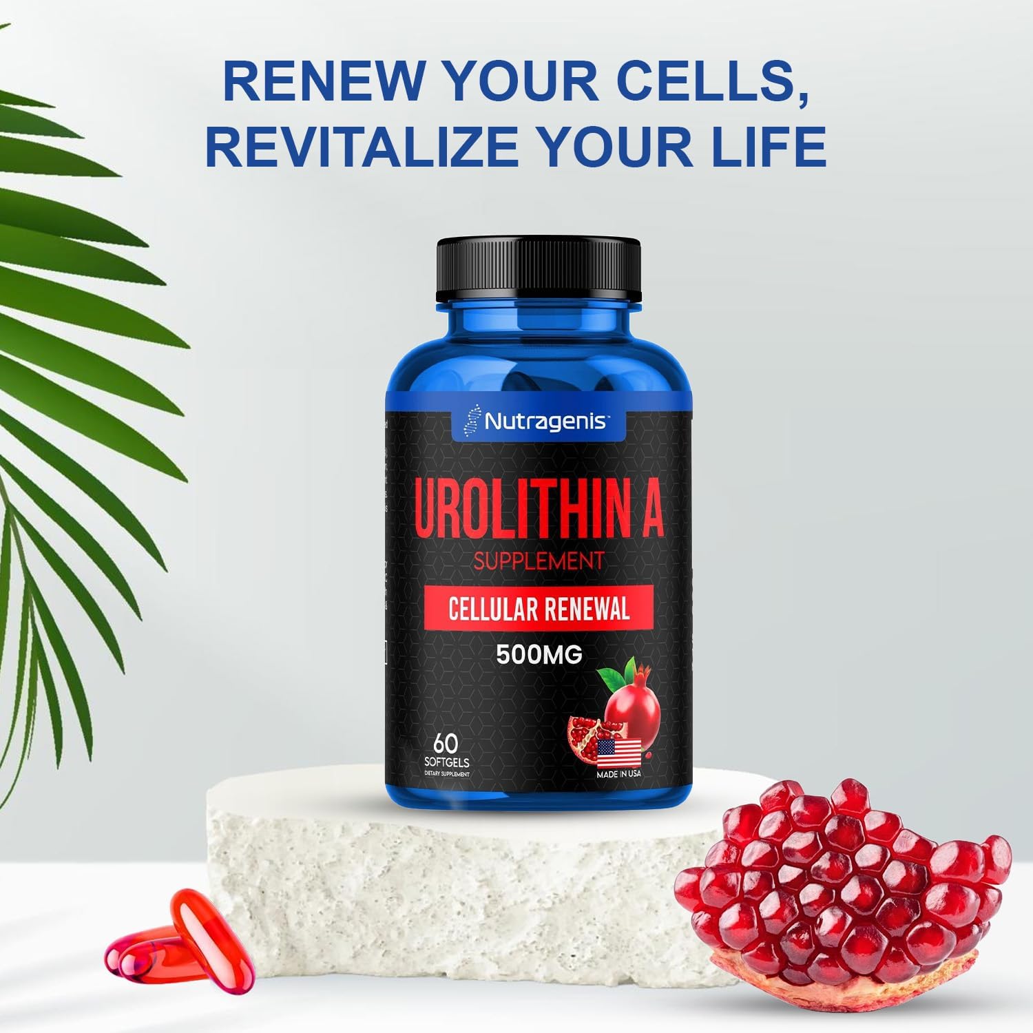 Nutragenis Urolithin A Softgel Supplement - 60 Count - Promotes Cellular Renewal & Muscle Strength - USA-Made Mitoceutical