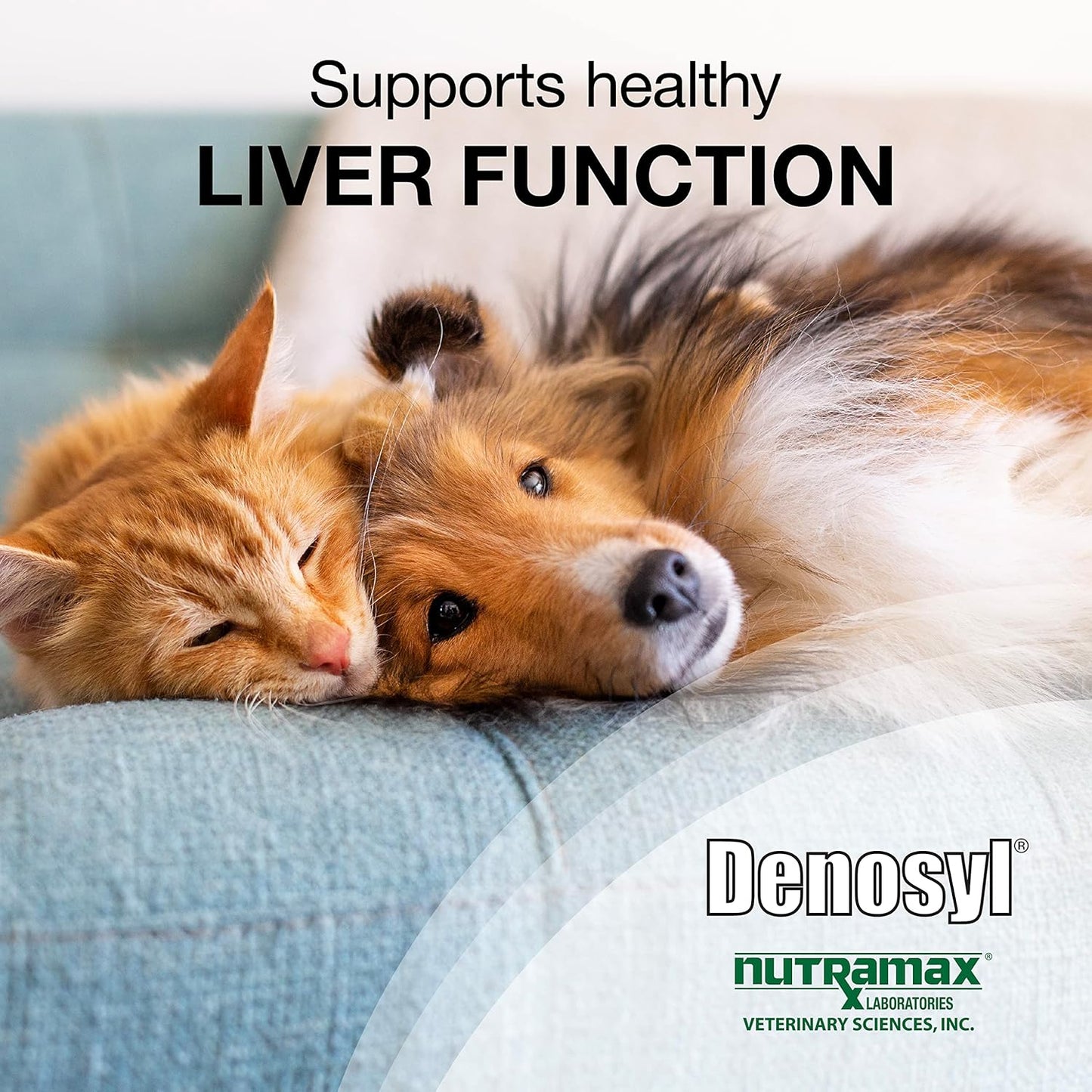 Nutramax Denosyl Liver and Brain Health Supplement for Small Dogs and Cats, 30 Tablets