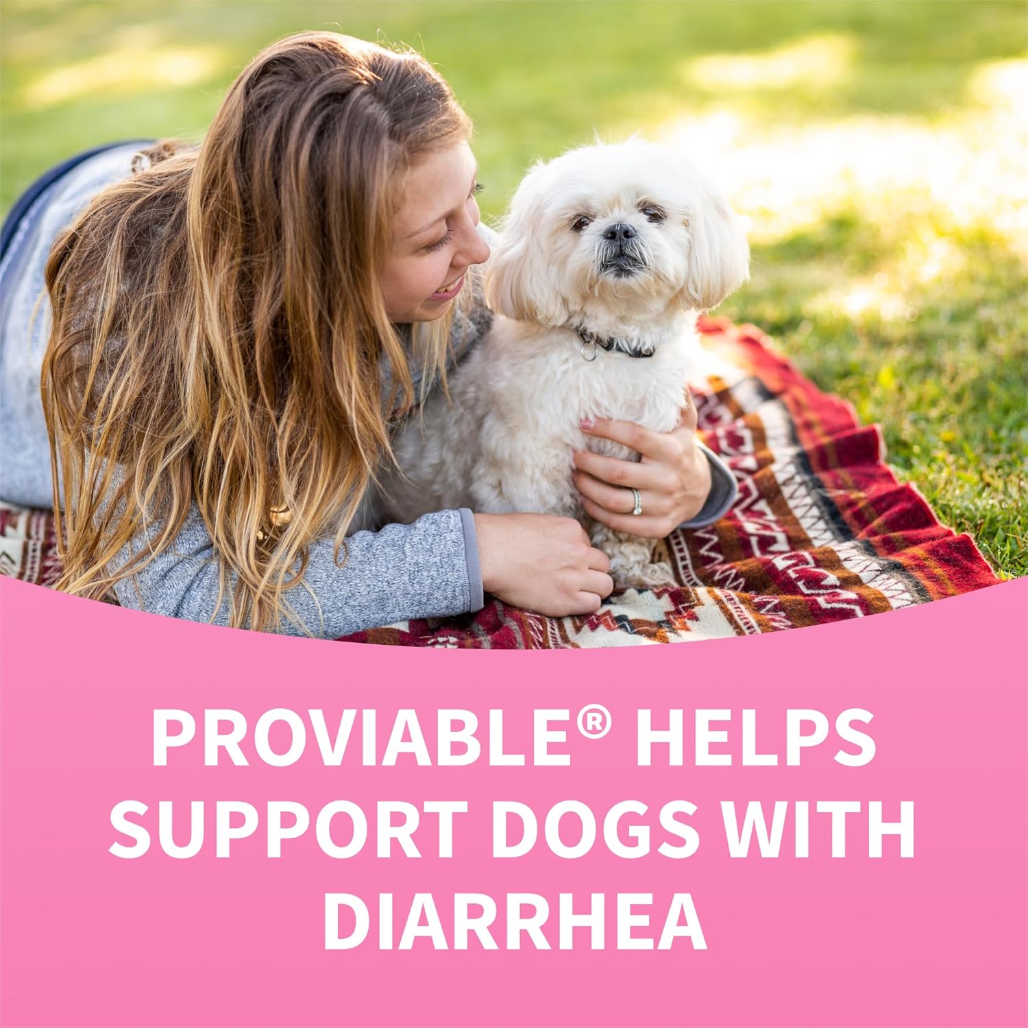 Nutramax Laboratories Proviable Digestive Health Supplement Kit for Medium to Large Dogs - Probiotics and Prebiotics, 7 Strains, 30 mL Paste, 10 Capsules