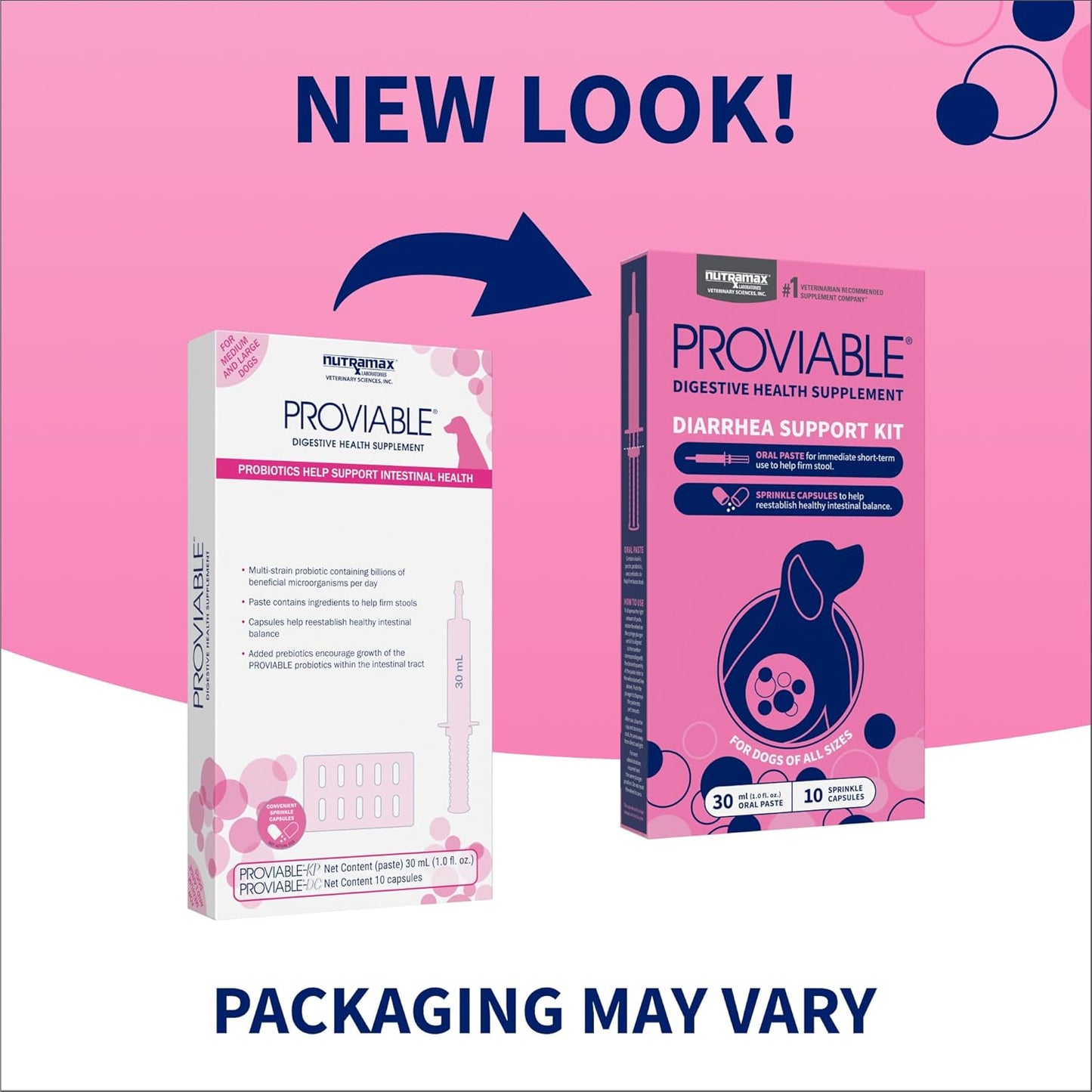 Nutramax Laboratories Proviable Digestive Health Supplement Kit for Medium to Large Dogs - Probiotics and Prebiotics, 7 Strains, 30 mL Paste, 10 Capsules