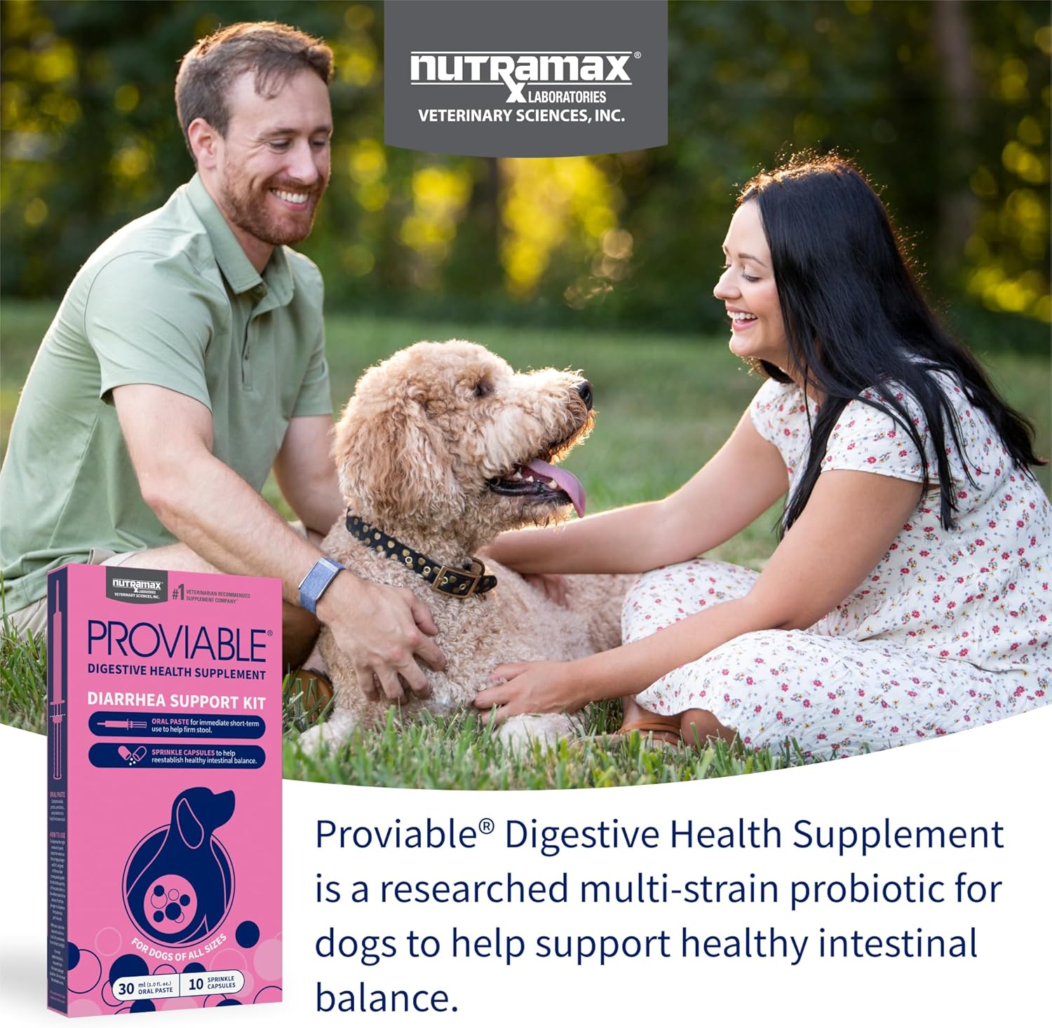 Nutramax Laboratories Proviable Digestive Health Supplement Kit for Medium to Large Dogs - Probiotics and Prebiotics, 7 Strains, 30 mL Paste, 10 Capsules