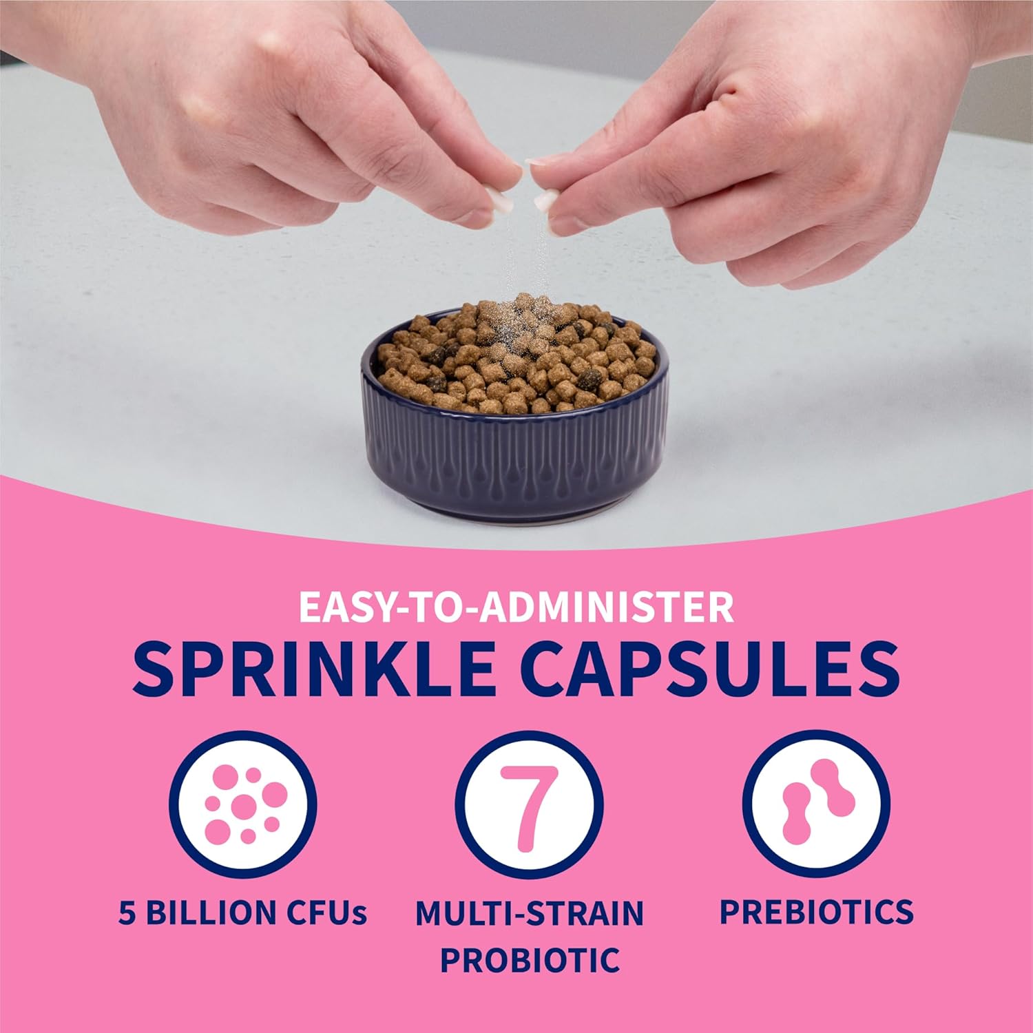 Nutramax Laboratories Proviable Digestive Health Supplement Kit for Medium to Large Dogs - Probiotics and Prebiotics, 7 Strains, 30 mL Paste, 10 Capsules