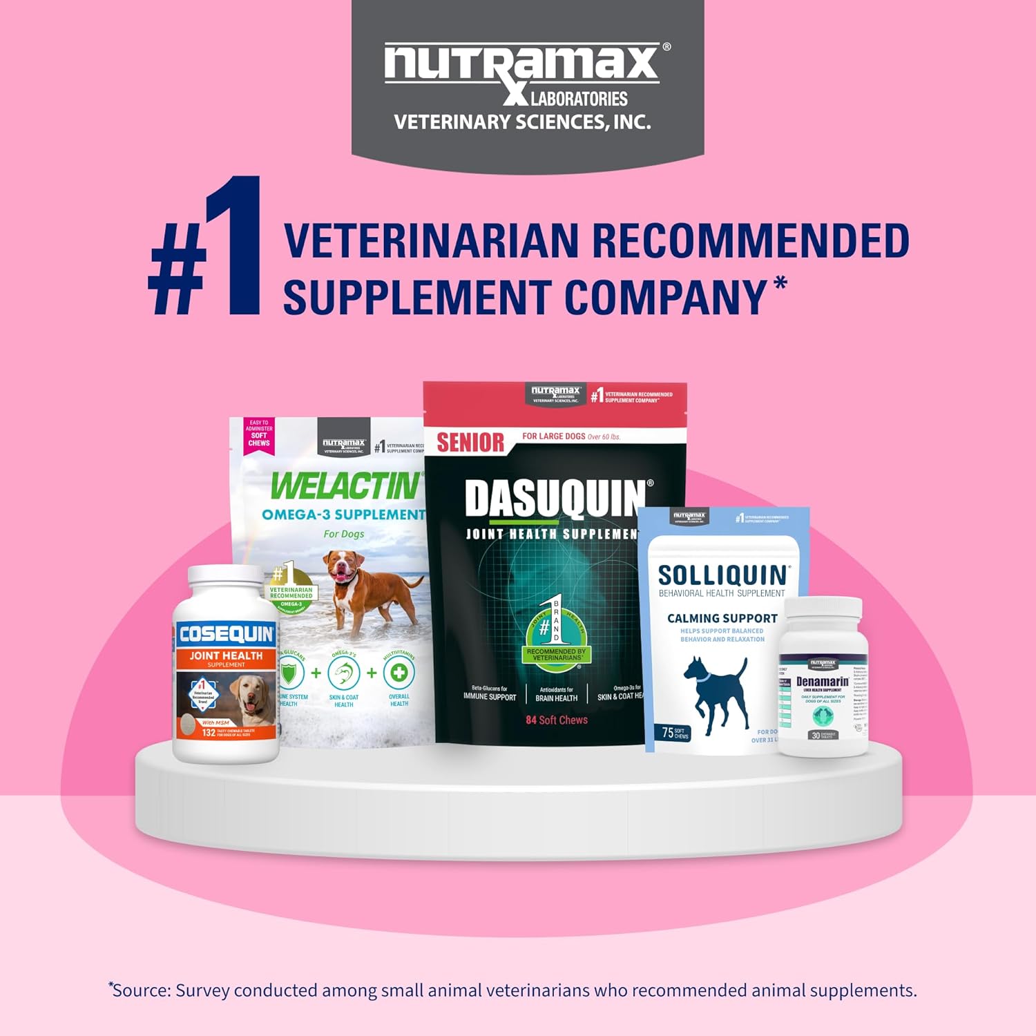 Nutramax Proviable Digestive Health Supplement for Cats and Dogs - Multi-Strain Probiotics with Prebiotics, 30 Capsules