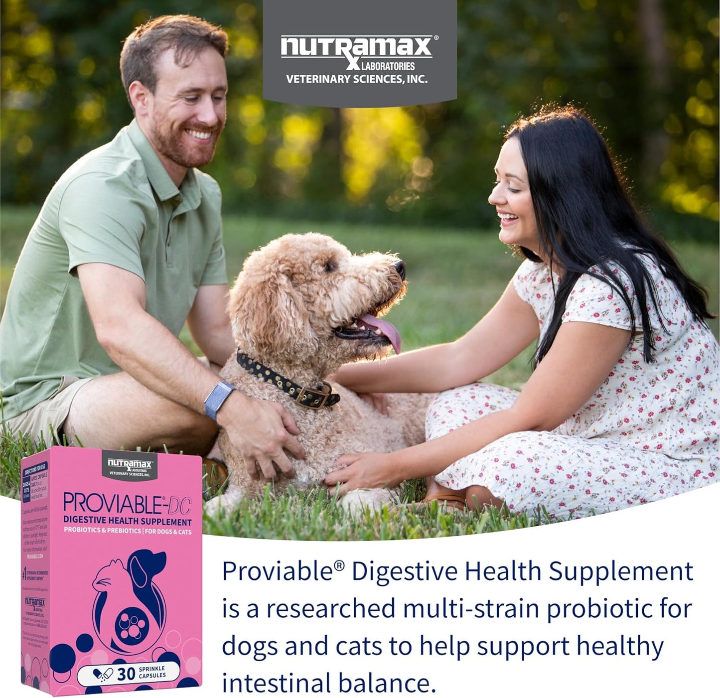 Nutramax Proviable Digestive Health Supplement for Cats and Dogs - Multi-Strain Probiotics with Prebiotics, 30 Capsules