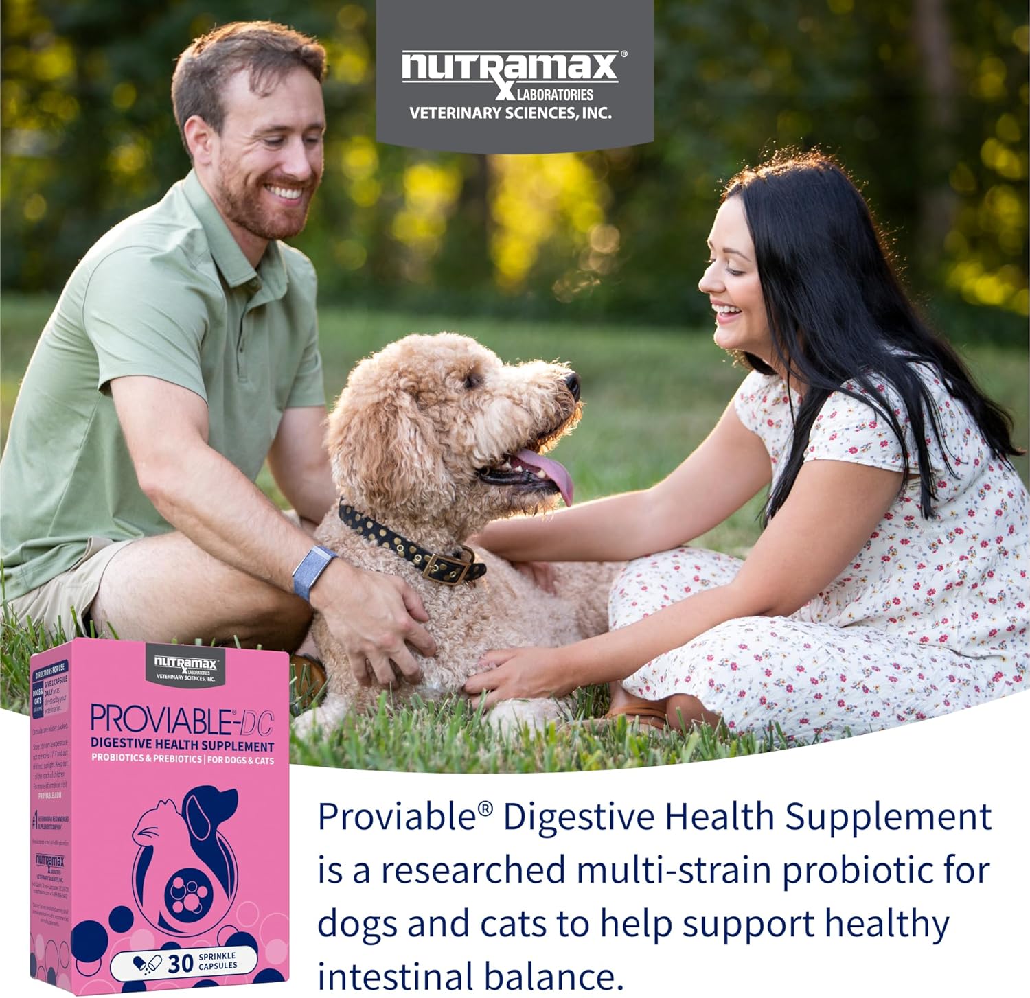 Nutramax Proviable Digestive Health Supplement for Cats and Dogs - Multi-Strain Probiotics with Prebiotics, 30 Capsules