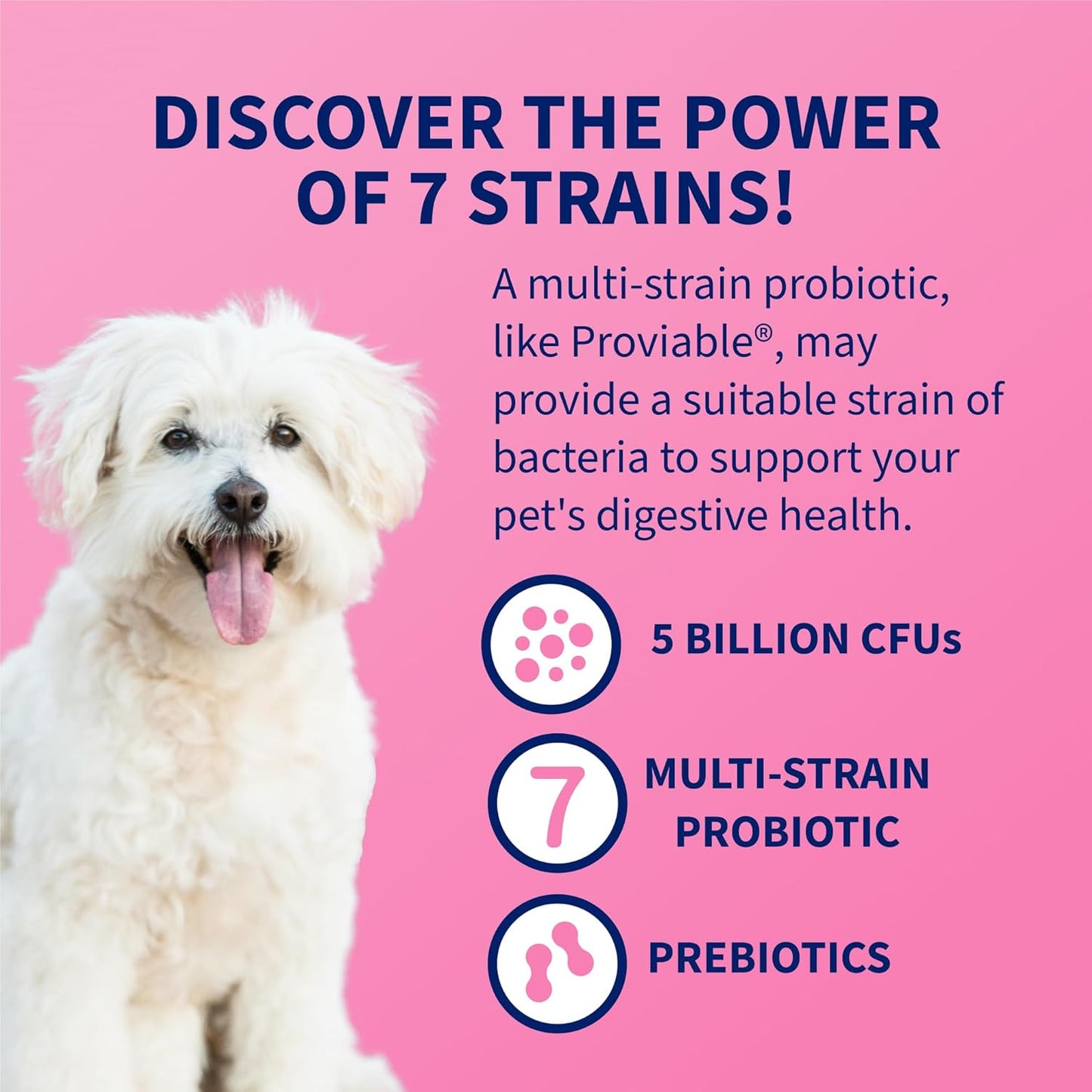 Nutramax Proviable Digestive Health Supplement for Cats and Dogs - Multi-Strain Probiotics with Prebiotics, 30 Capsules