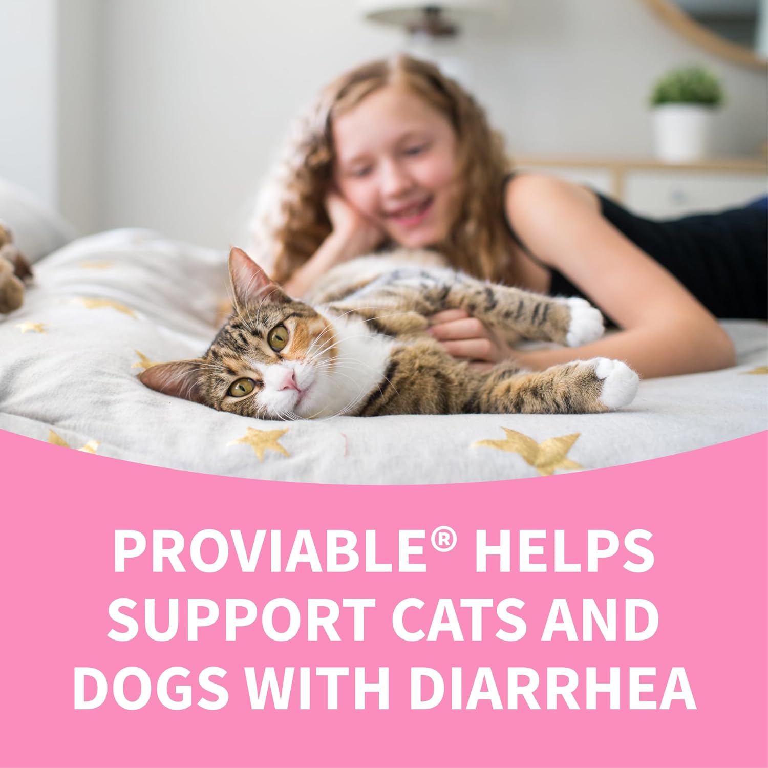 Nutramax Proviable Digestive Health Supplement for Cats and Dogs - Multi-Strain Probiotics with Prebiotics, 30 Capsules