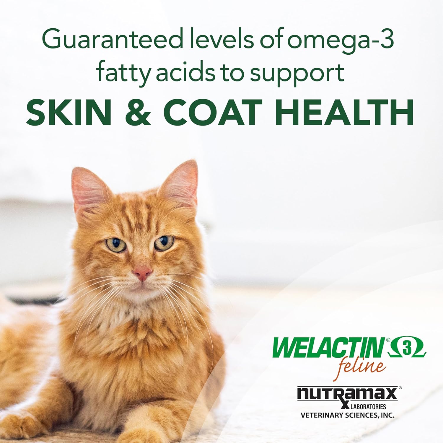 Nutramax Welactin Omega-3 Fish Oil Liquid Supplement for Cats - 4 Ounce, Promotes Healthy Skin and Coat