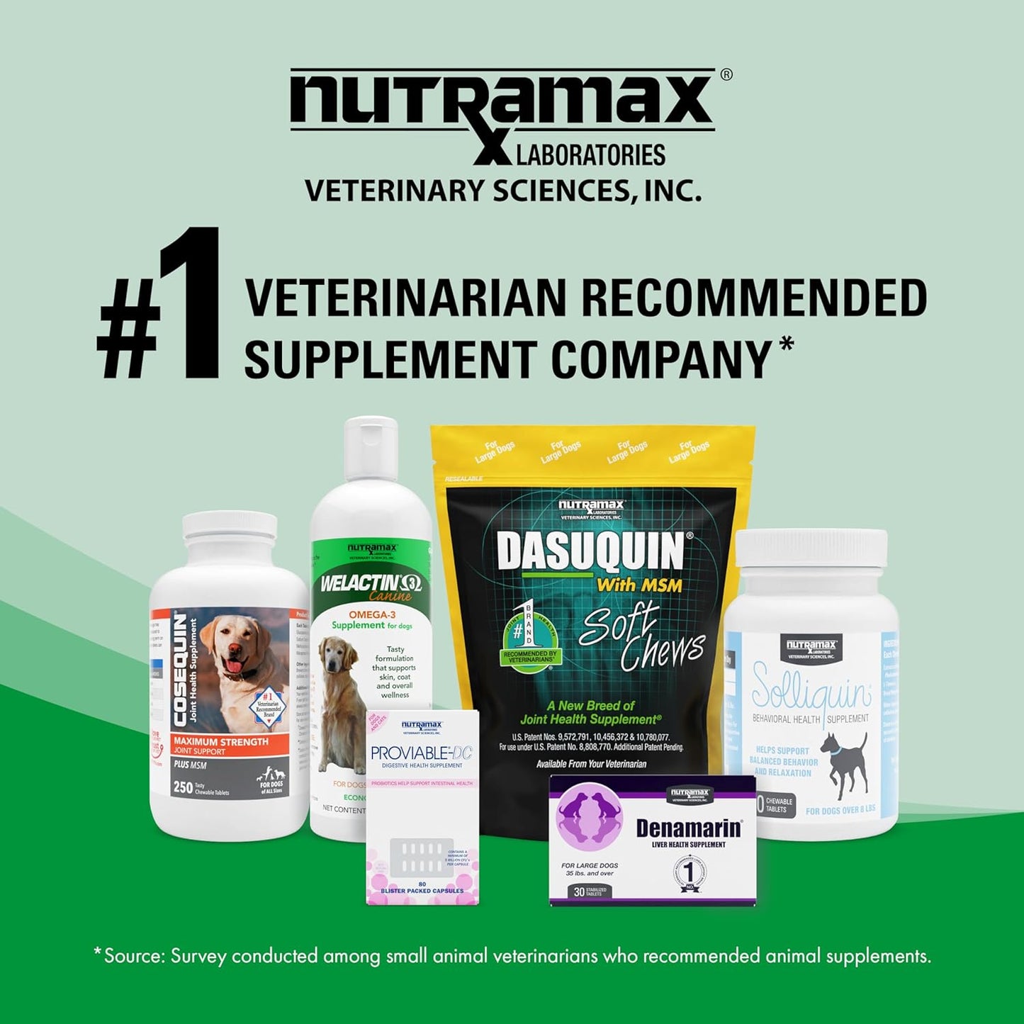 Nutramax Welactin Omega-3 Fish Oil Liquid Supplement for Cats - 4 Ounce, Promotes Healthy Skin and Coat