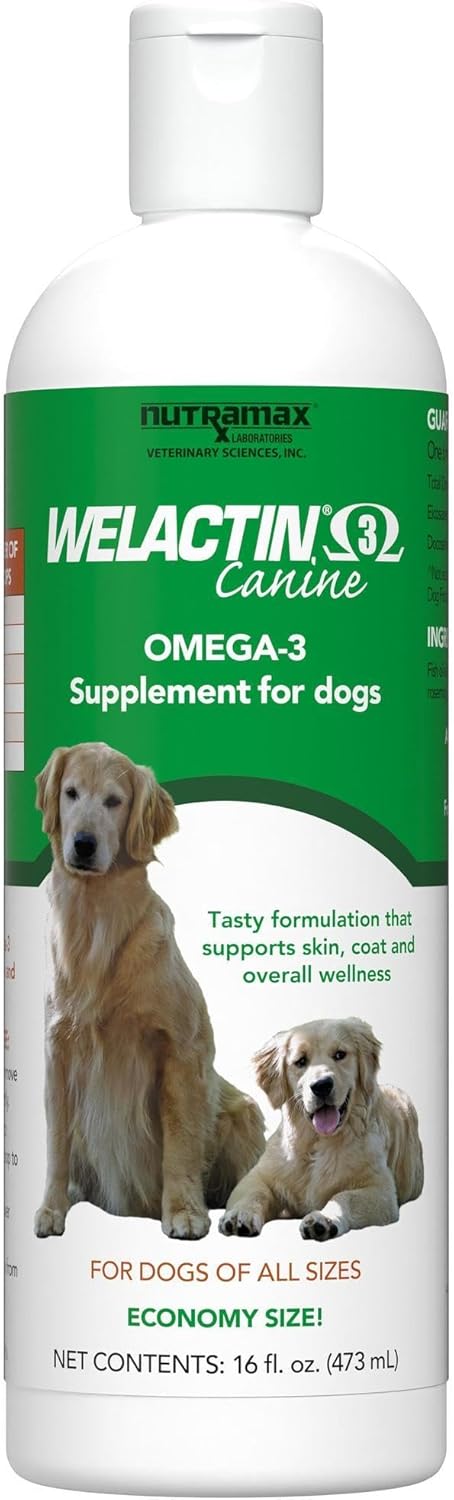 Nutramax Welactin Omega-3 Fish Oil Supplement for Dogs - 16 oz Liquid Formula for Skin & Coat Health by Nutramax Labs