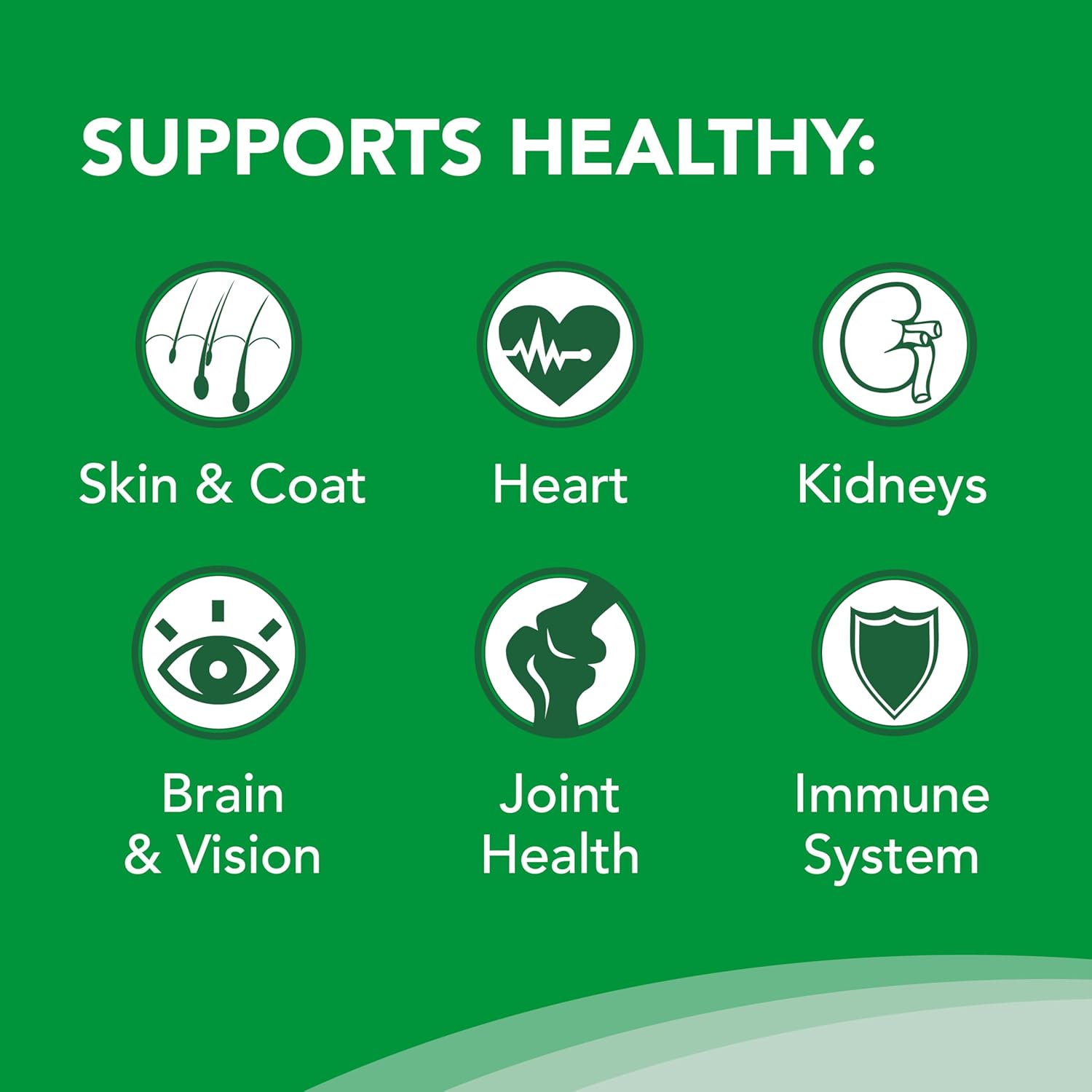 Nutramax Welactin Omega-3 Fish Oil Supplement for Dogs - 16 oz Liquid Formula for Skin & Coat Health by Nutramax Labs