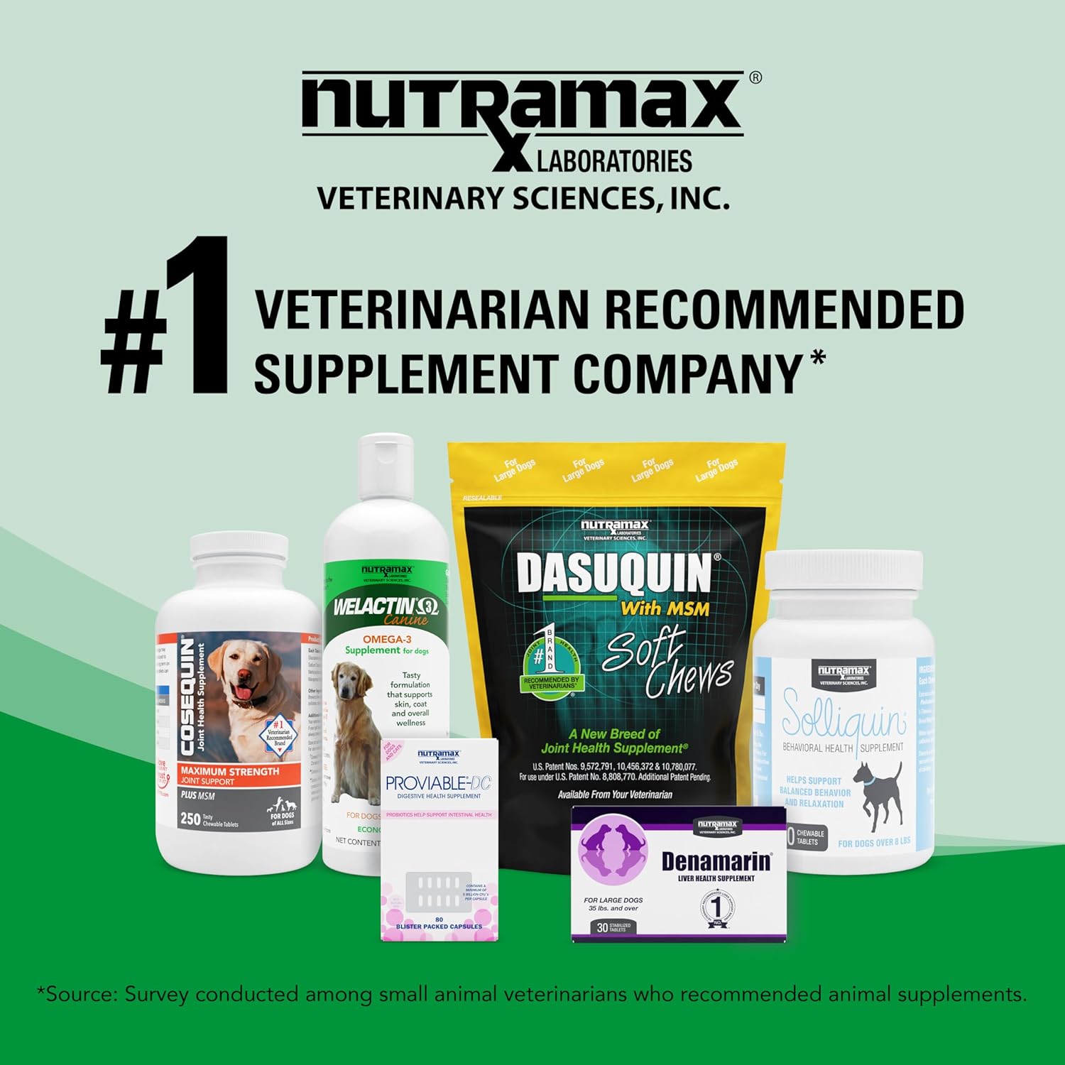 Nutramax Welactin Omega-3 Fish Oil Supplement for Dogs - 16 oz Liquid Formula for Skin & Coat Health by Nutramax Labs