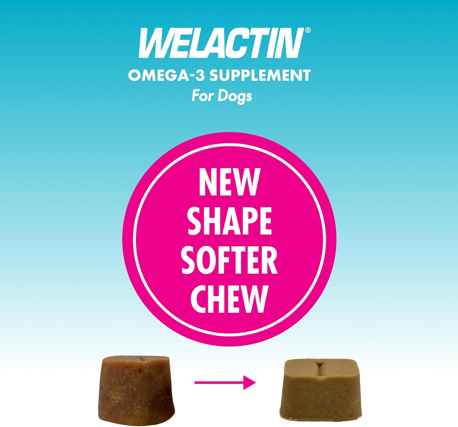 Nutramax Welactin Omega-3 Soft Chews for Dogs, Skin & Coat Health, 60ct