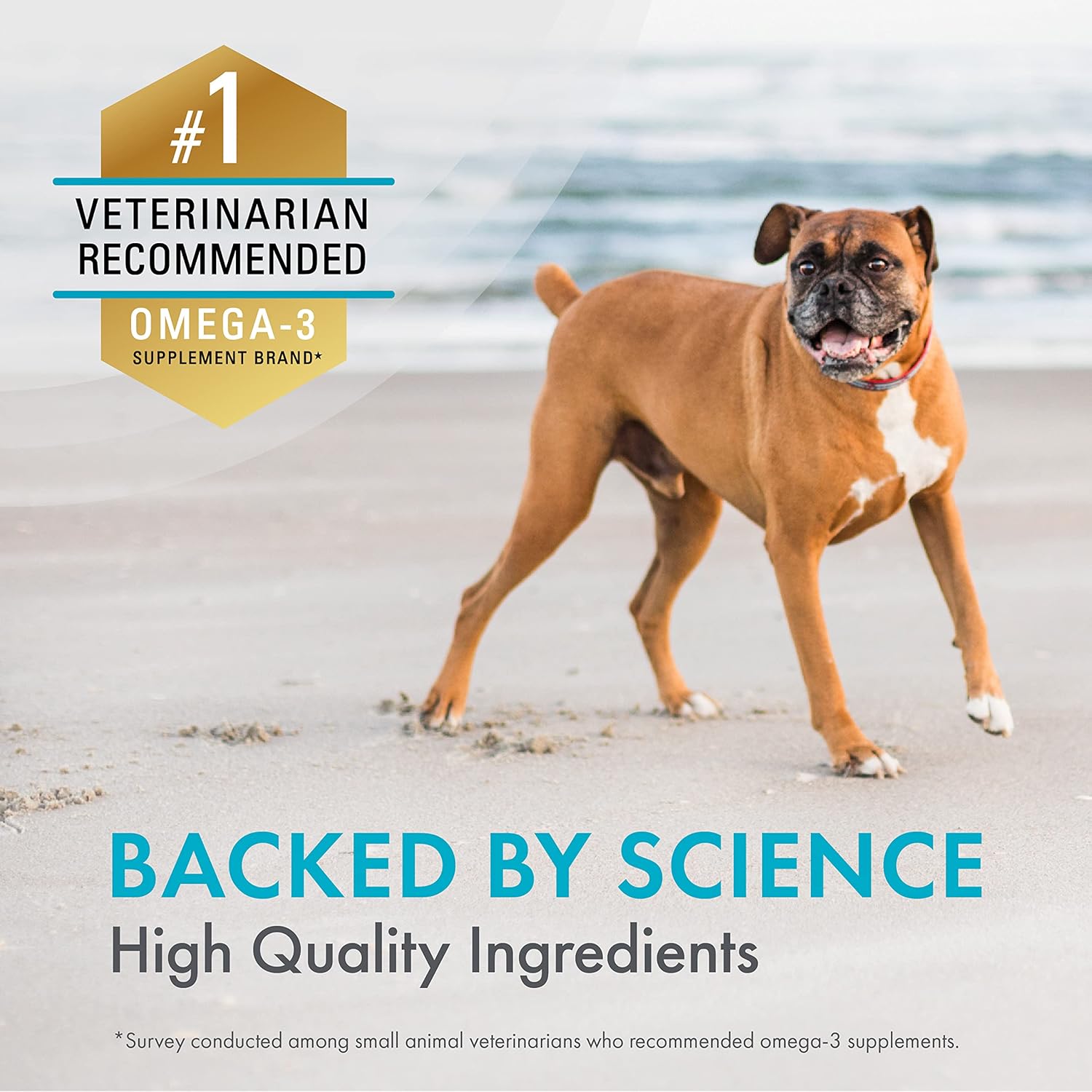 Nutramax Welactin Omega-3 Soft Chews for Dogs, Skin & Coat Health, 60ct